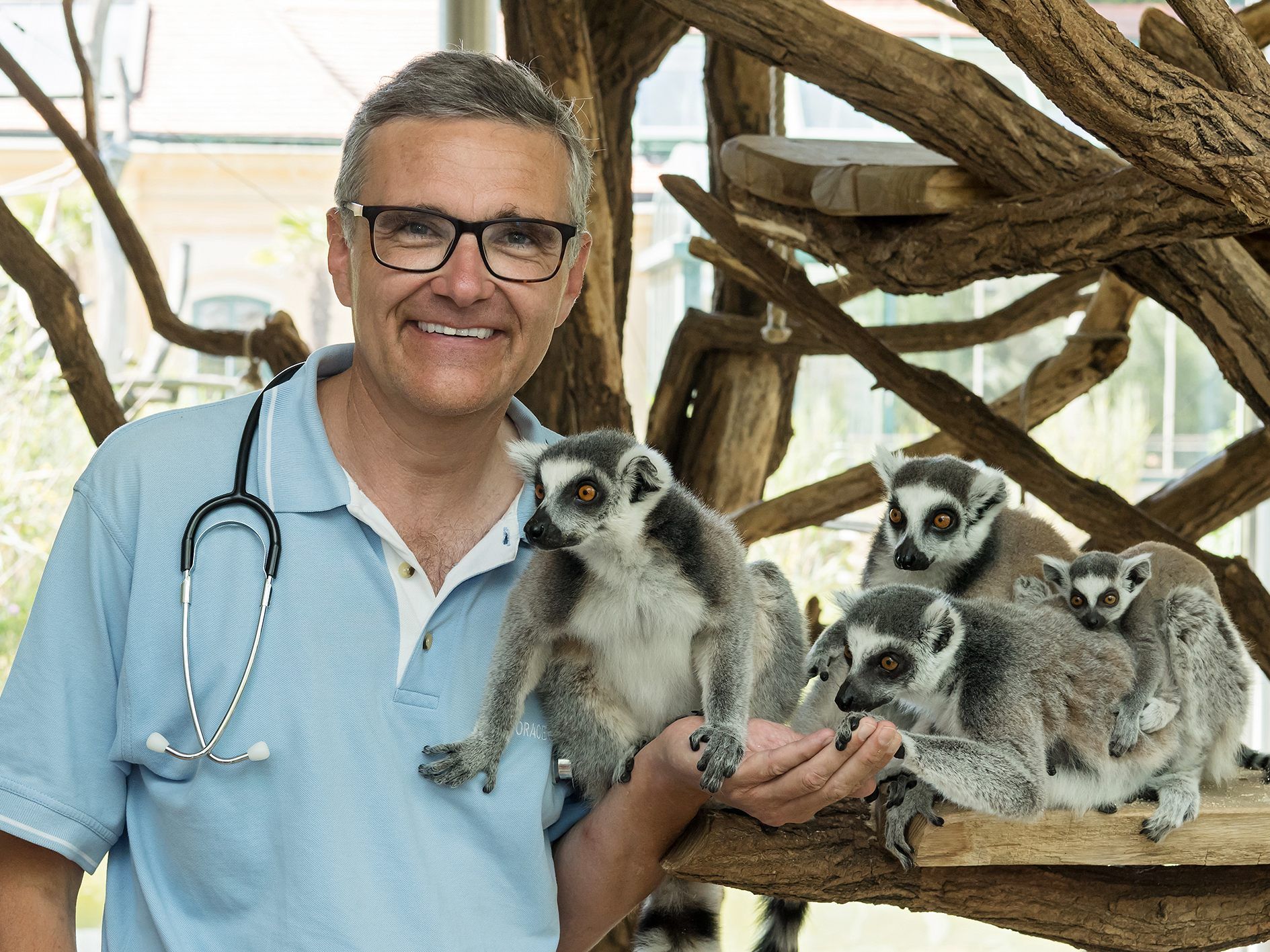 Thomas Voracek ist seit 20 Jahren Tierarzt im Tiergarten Schönbrunn.