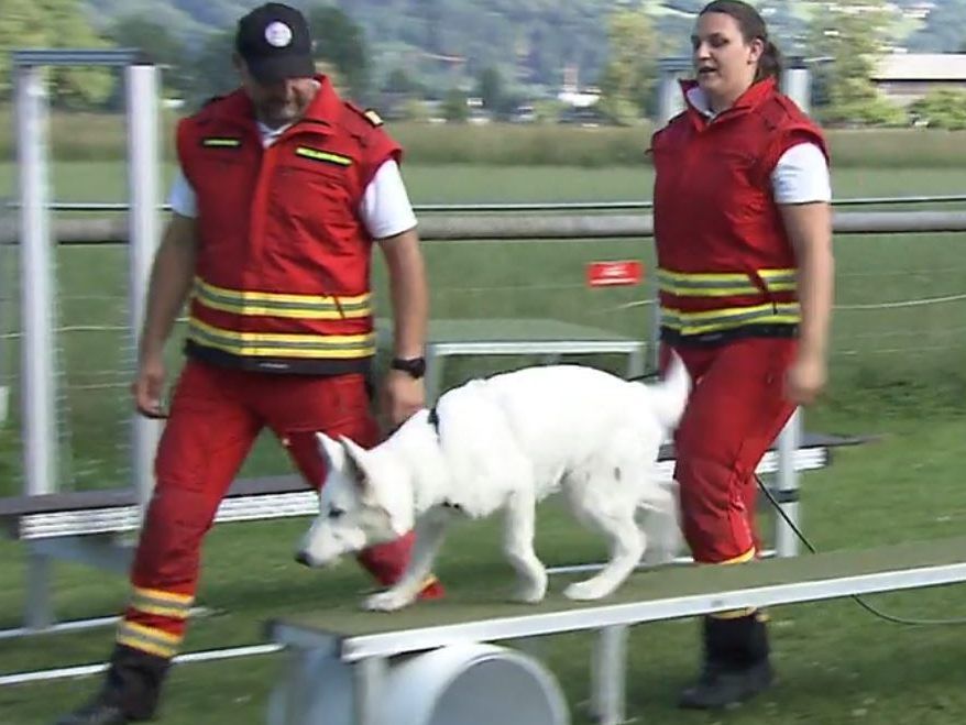 Die Rettungshundebrigade Tirol/Vorarlberg beim Training in Dornbirn.