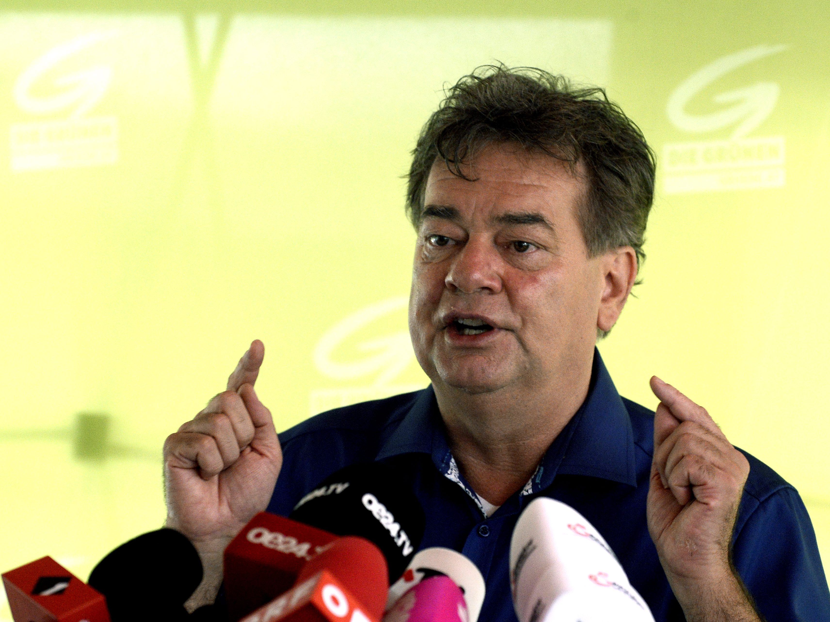 Werner Kogler will die Grünen wieder in den Nationalrat führen.