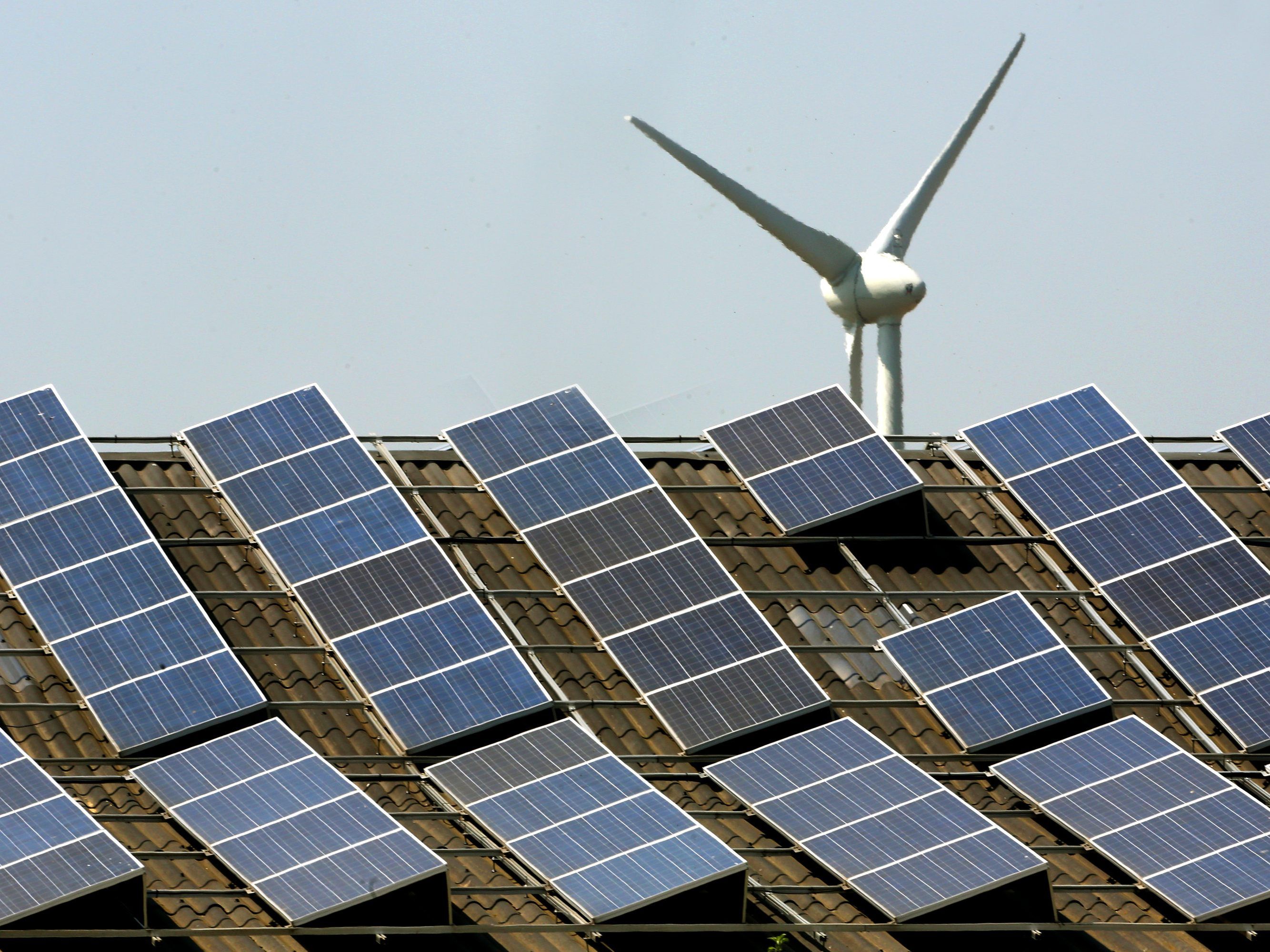 Die NGOs fordern eine Solarstromwende in Österreich.