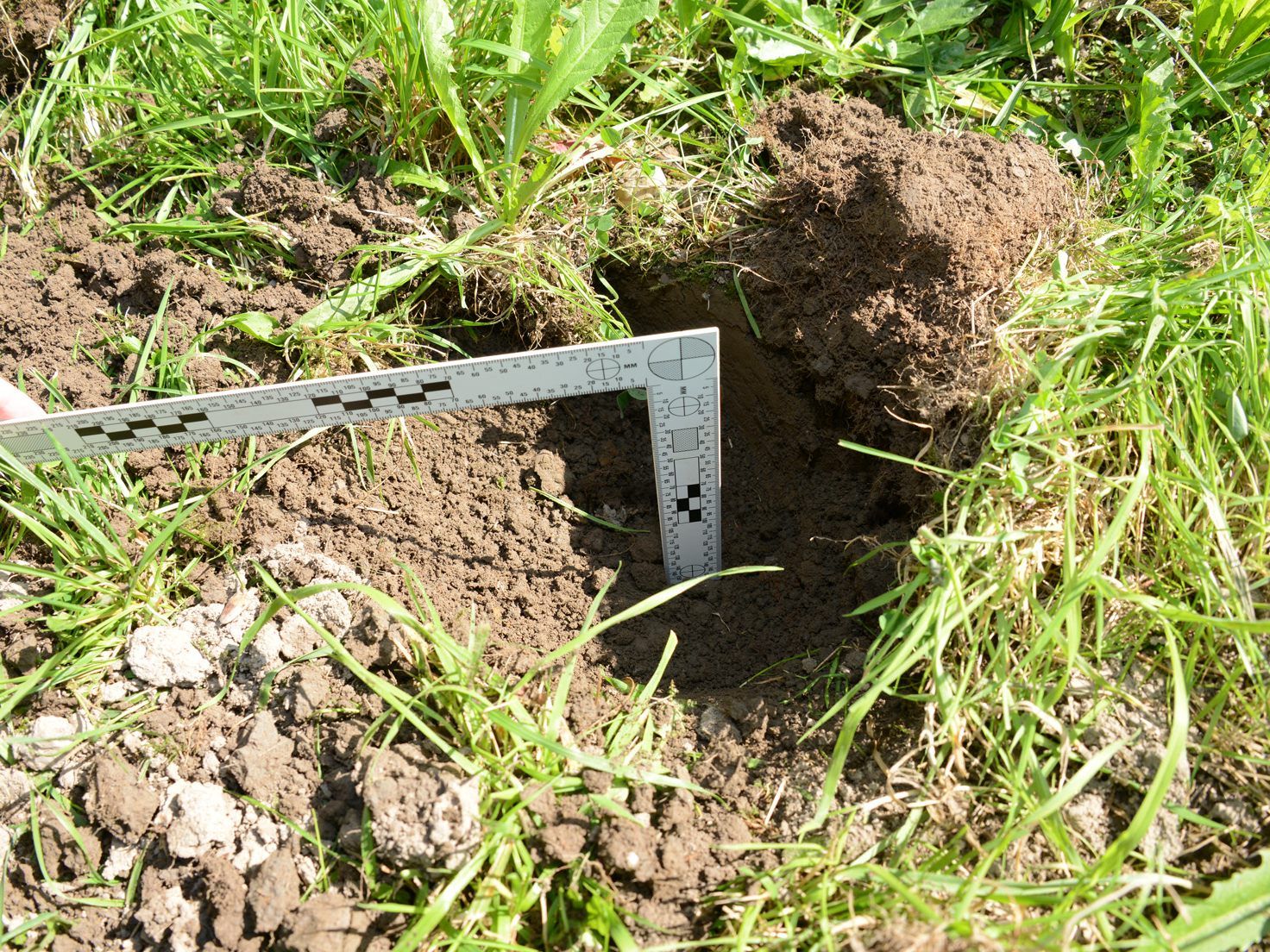 Illegale Grabungen im Gebiet der Burgruine Schellenberg.