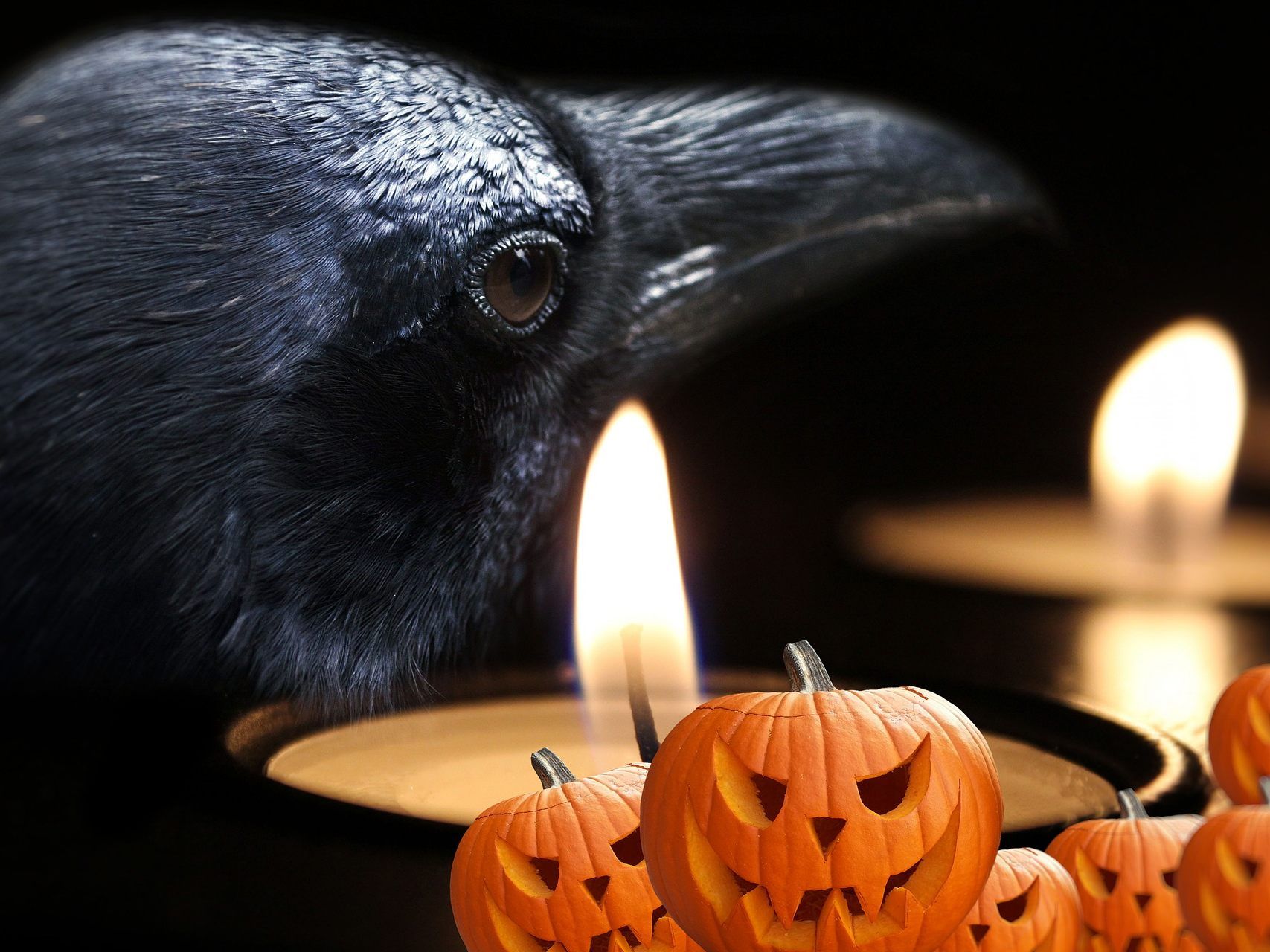 Das Brauchtum rund um Halloween basiert auf schaurigen Legenden