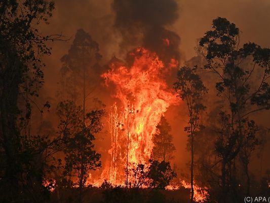 Buschfeuer in Australien geraten immer mehr außer Kontrolle
