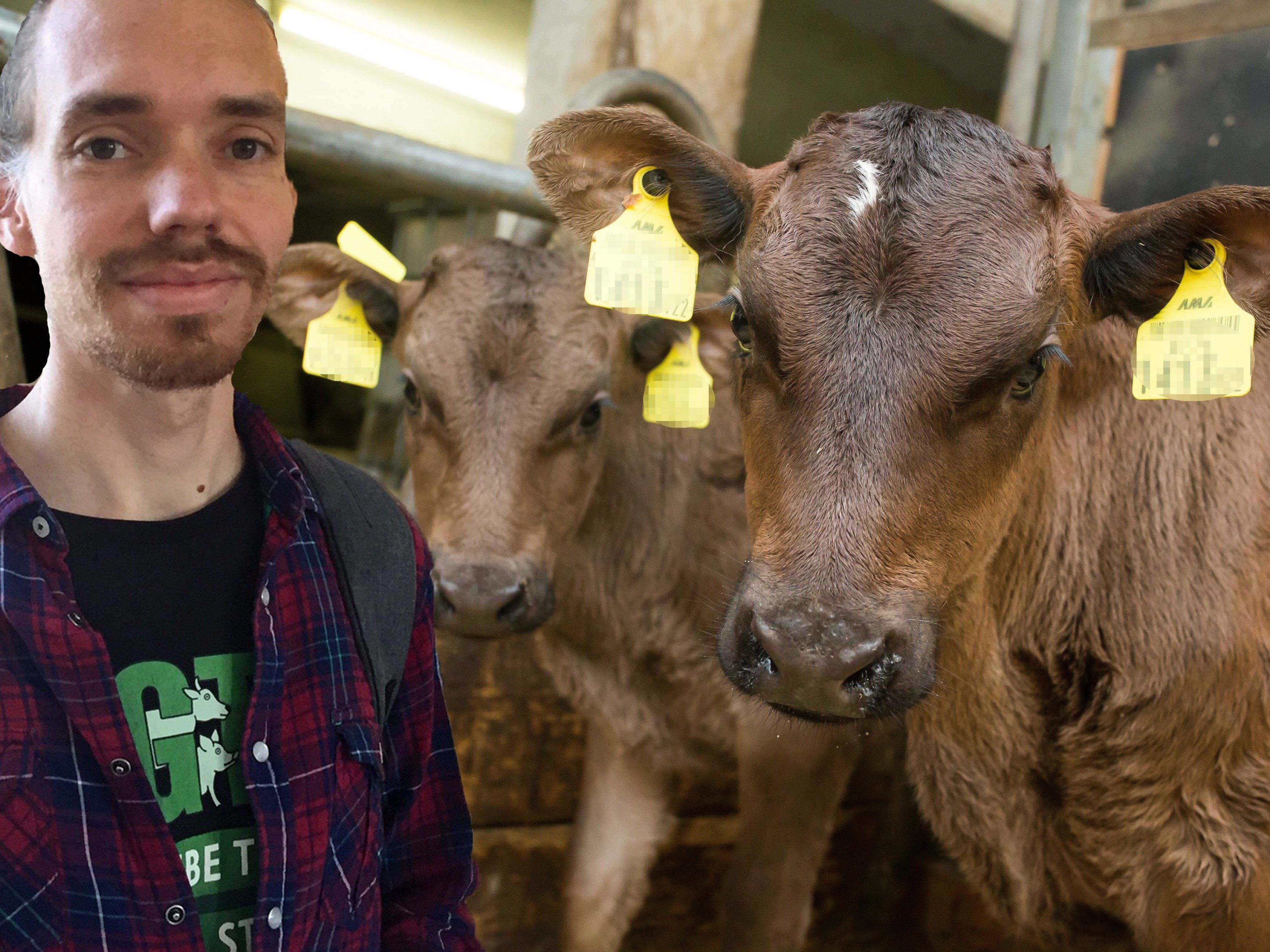 Tobias Giesinger kritisiert, wie die Kälbertransporte im Regierungsprogramm geregelt sind.