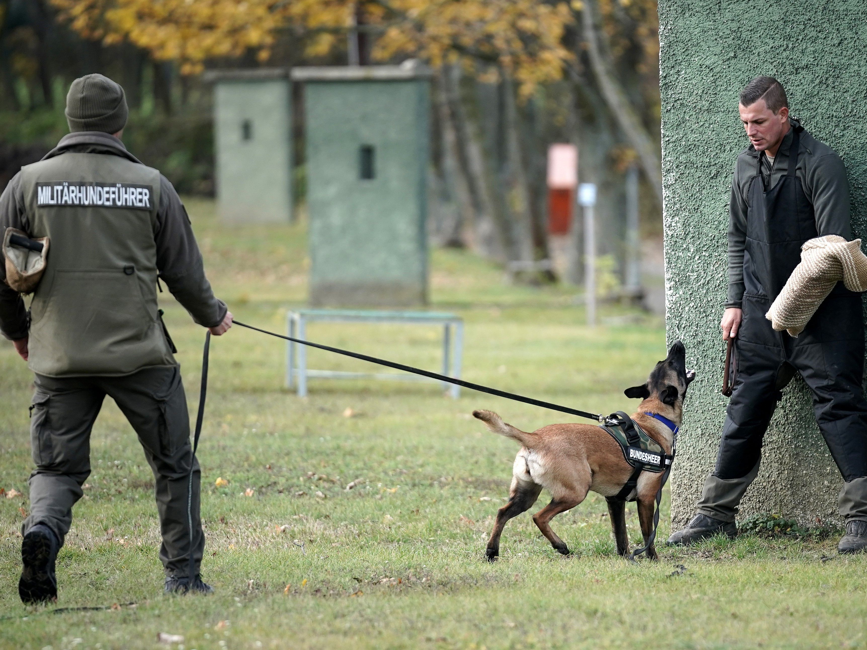 Die Militärhunde werden wochenlang ausgebildet und jährlich geprüft.