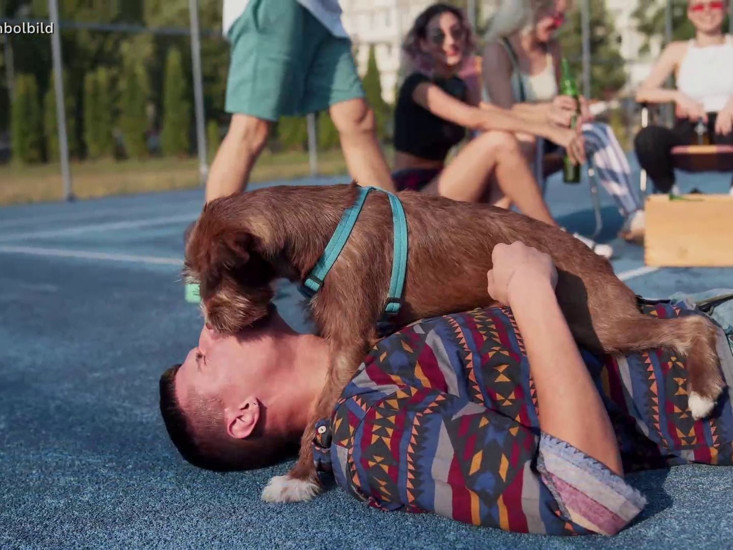 Symbolbild: Mann stirbt, nachdem sein Hund ihm über das Gesicht geschleckt hatte.