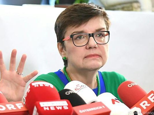 Petrovic wünscht grüne Handschrift bei Migrationspolitik