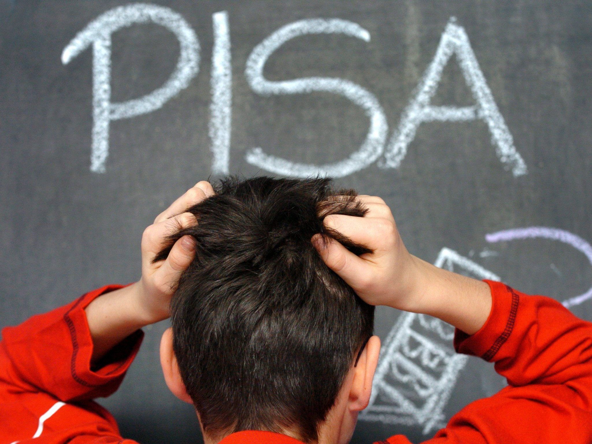 Sind die Pisa-Ergebnisse Grund zur Sorge?