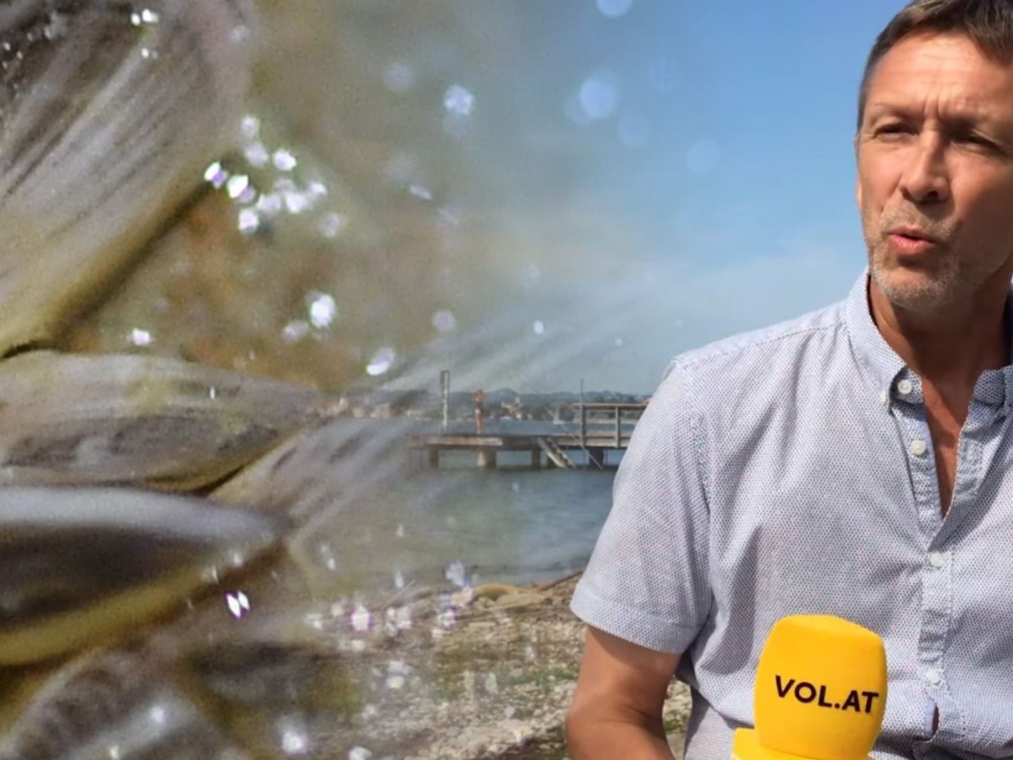 Gerhard Hutter vom Umweltinstitut hat VOL.AT im Sommer 2019 ein Interview zu den Quagga-Muscheln im Bodensee gegeben.