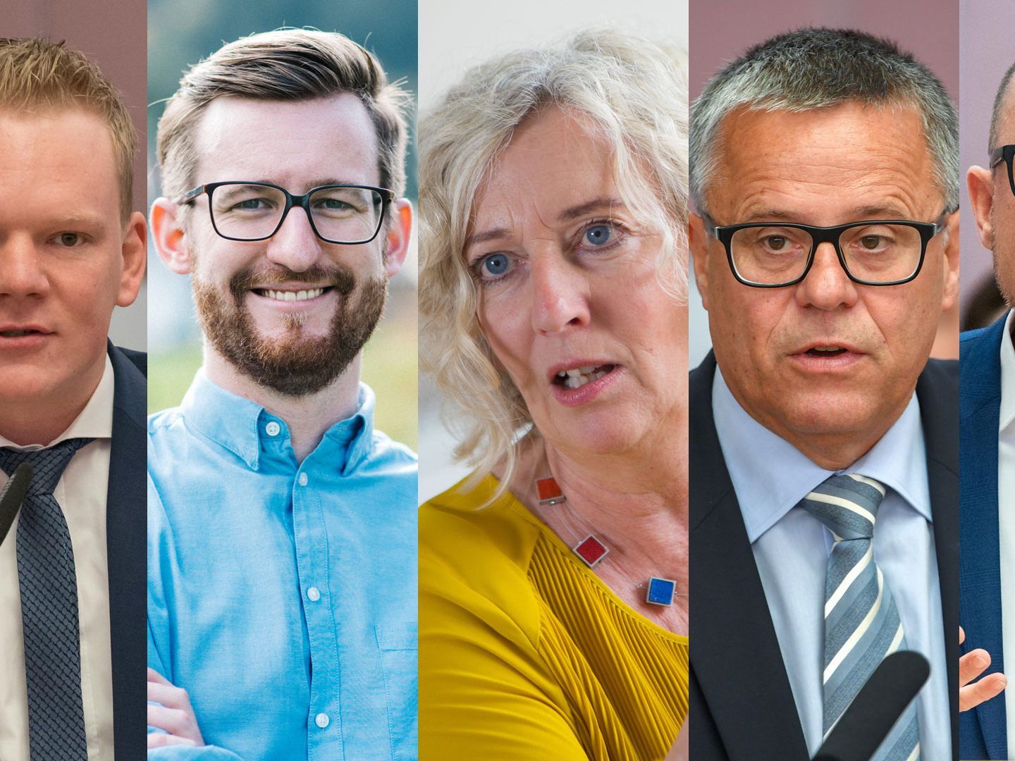 Das sagen die Ländle-Politiker zum VfGH-Entscheidung.