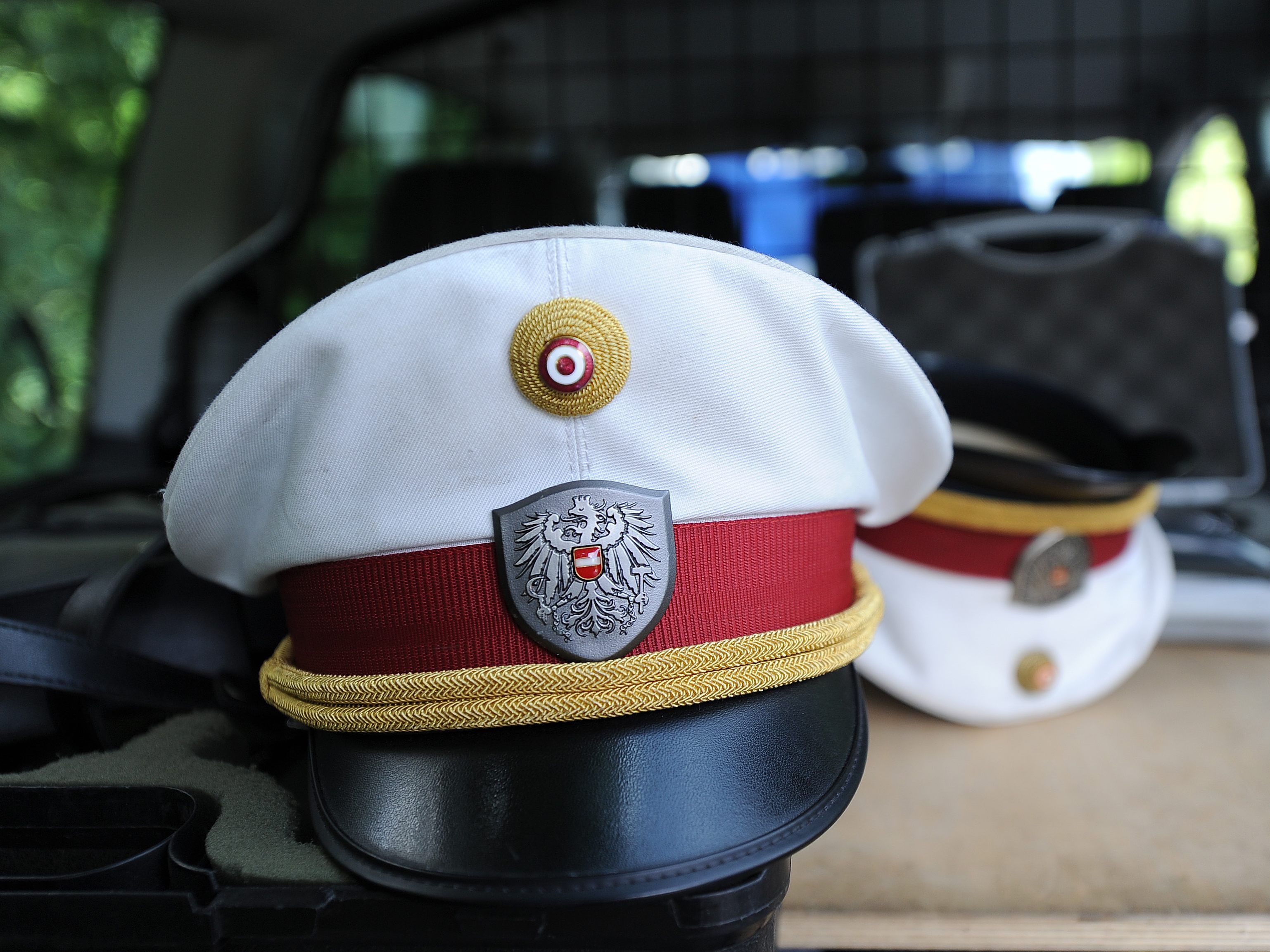 Ein 35-jähriger Wiener und ein 32-jähriger Kärntner wurden festgenommen.