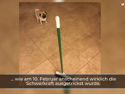 Neuer Trend im Internet