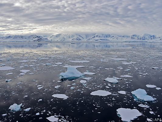 Eisschmelze in der Antarktis wohl mit massiven Auswirkungen