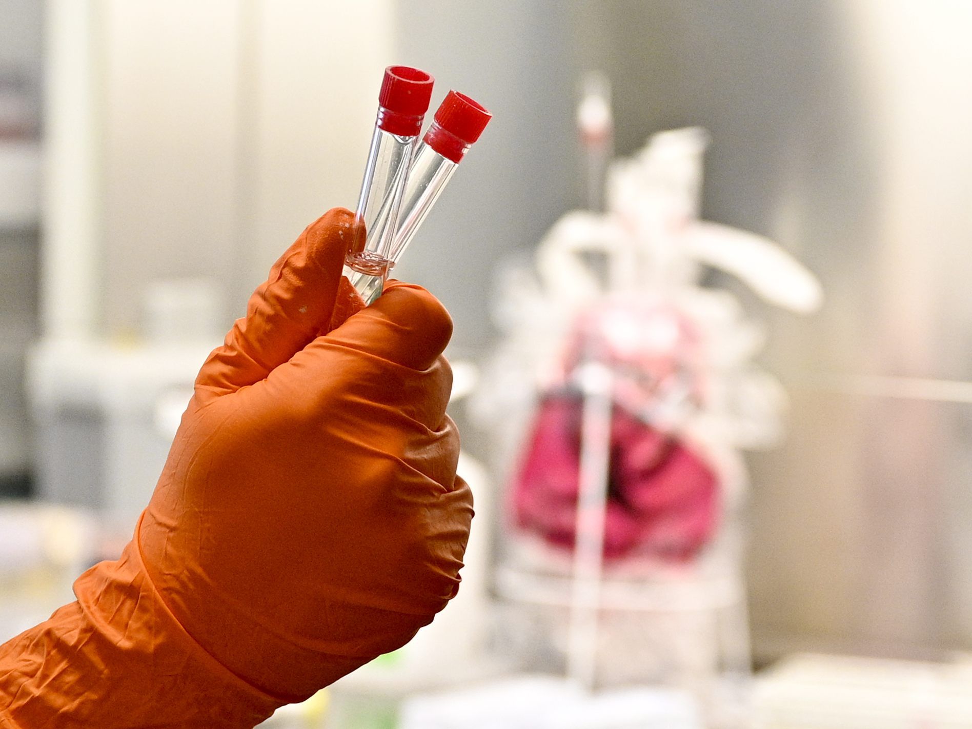 Auch im zweiten Coronavirus-Verdachtsfall in Vorarlberg konnte Entwarnung gegeben werden.