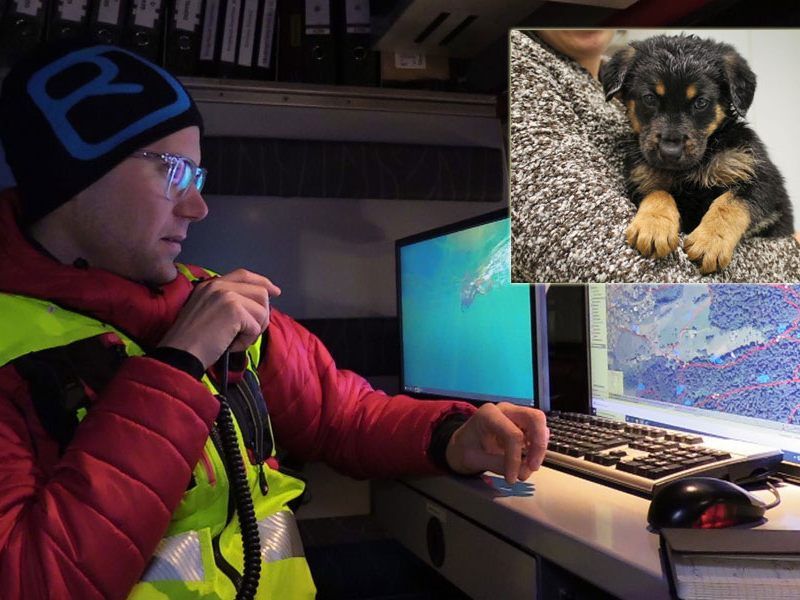 Beim Hund auf diesem Foto handelt sich um ein Symbolbild