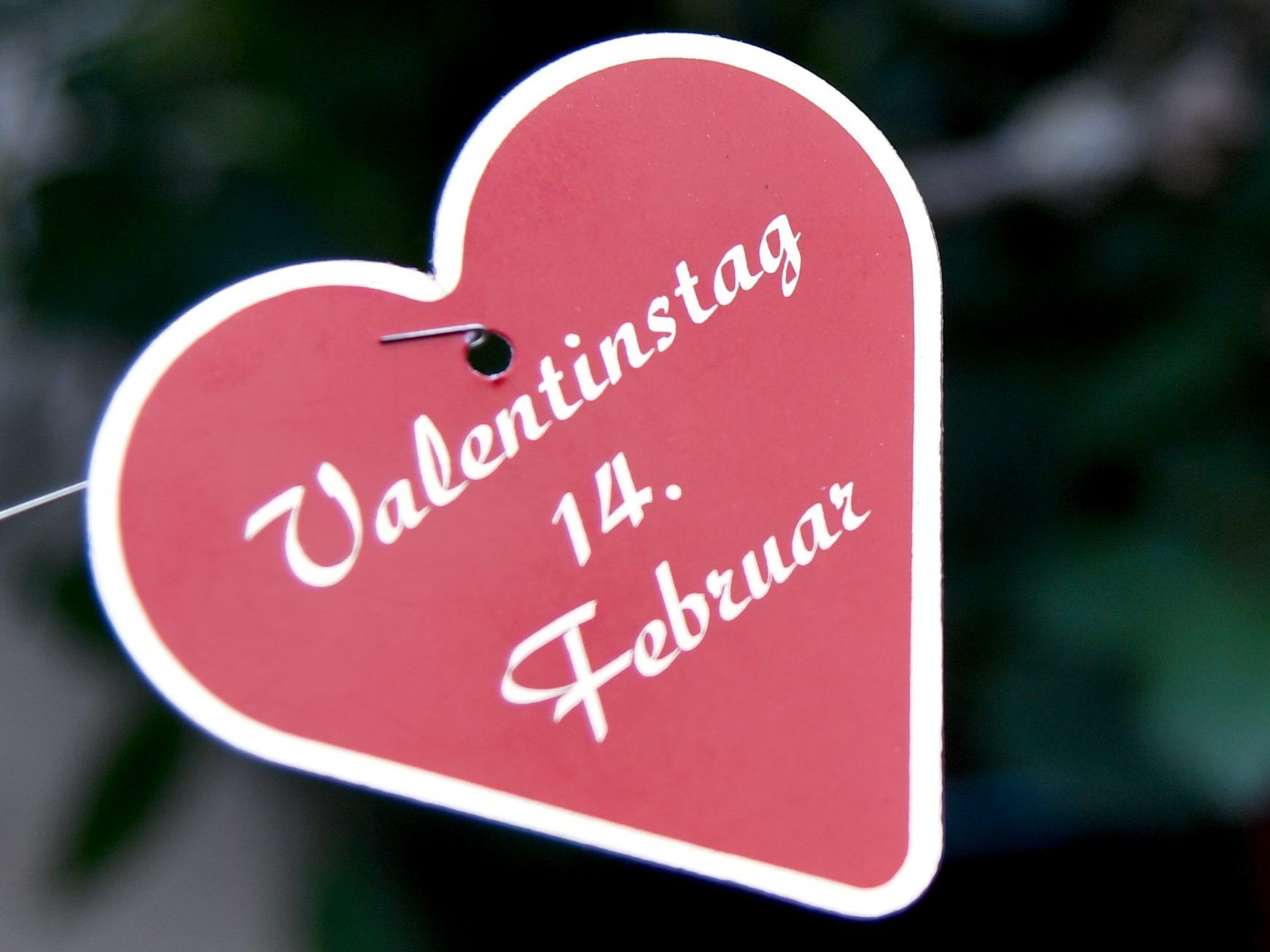 Der Valentinstag kann schon einmal kurios werden.