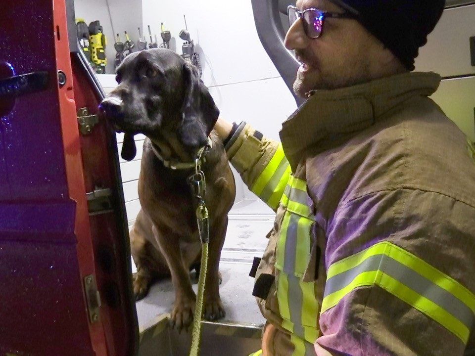Der Hund wurde an die Tierrettung übergeben.