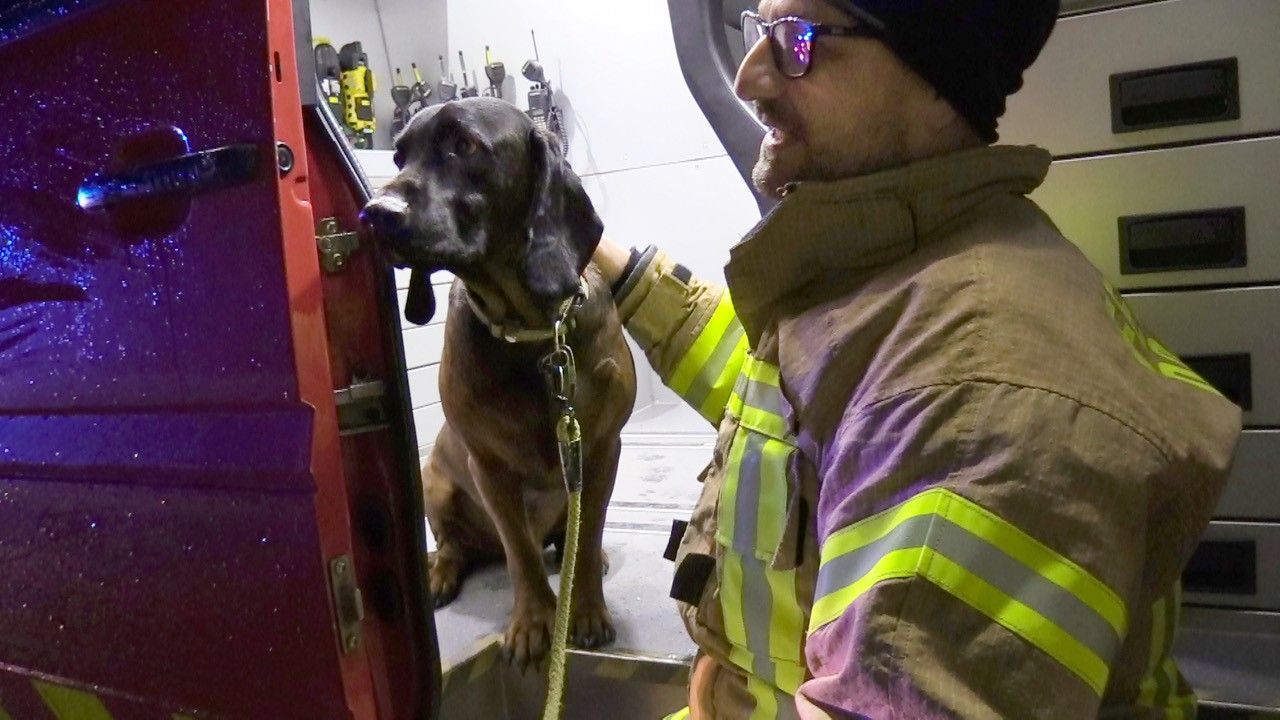 Der Hund wurde an die Tierrettung übergeben.