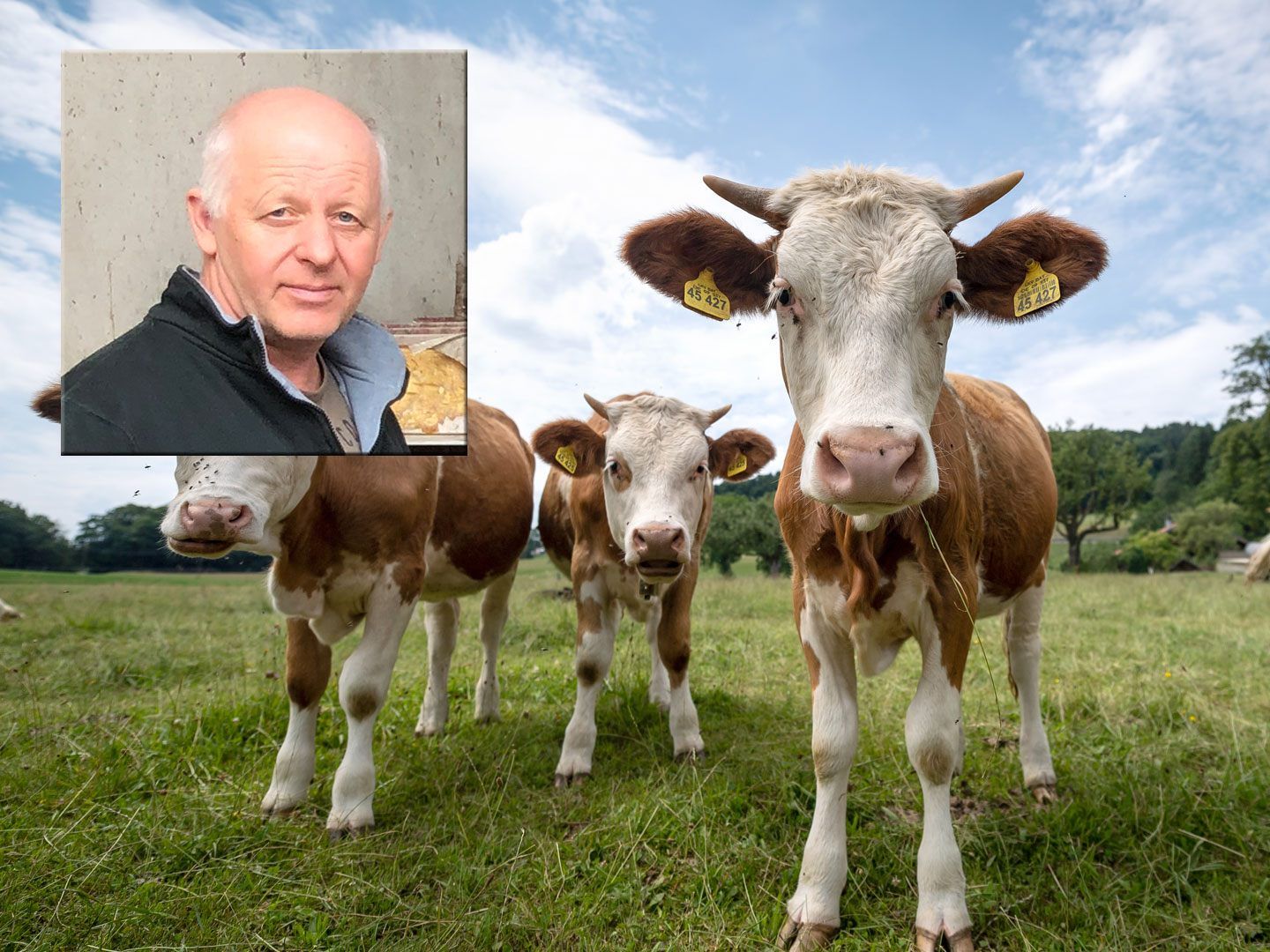 Das Kalb, welches im Libanon getötet wurde, kommt vom Hof von Reinhard Hofer.