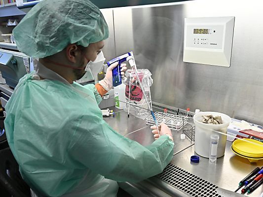 Coronavirus breitet sich rasch aus