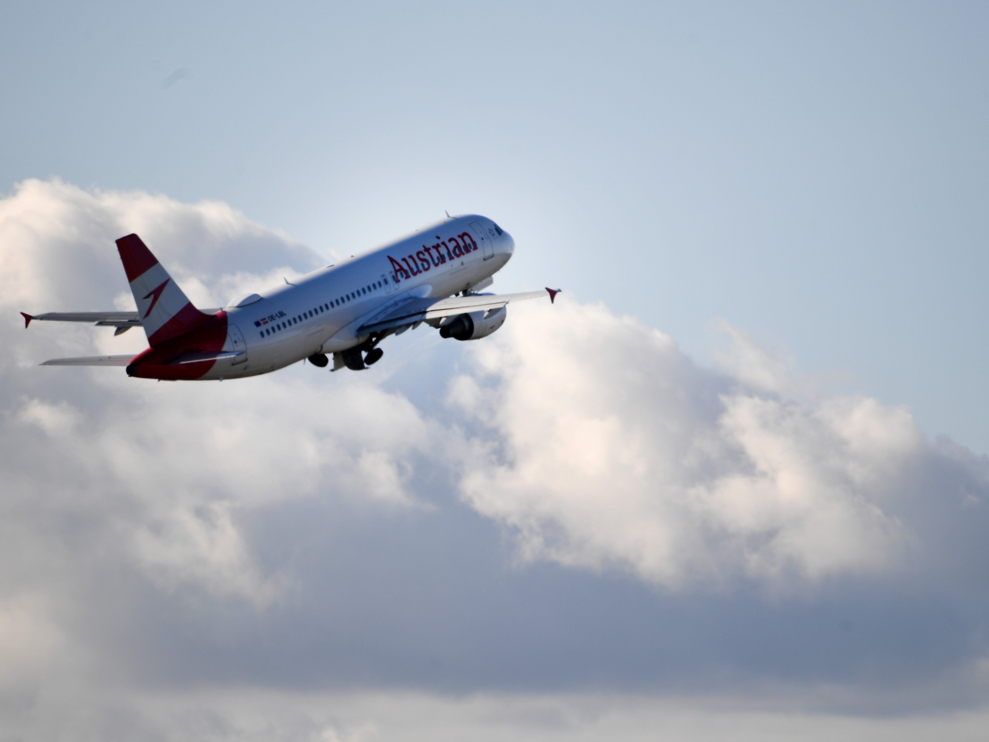 AUA und Lauda mit stark ausgedünntem Flugplan.
