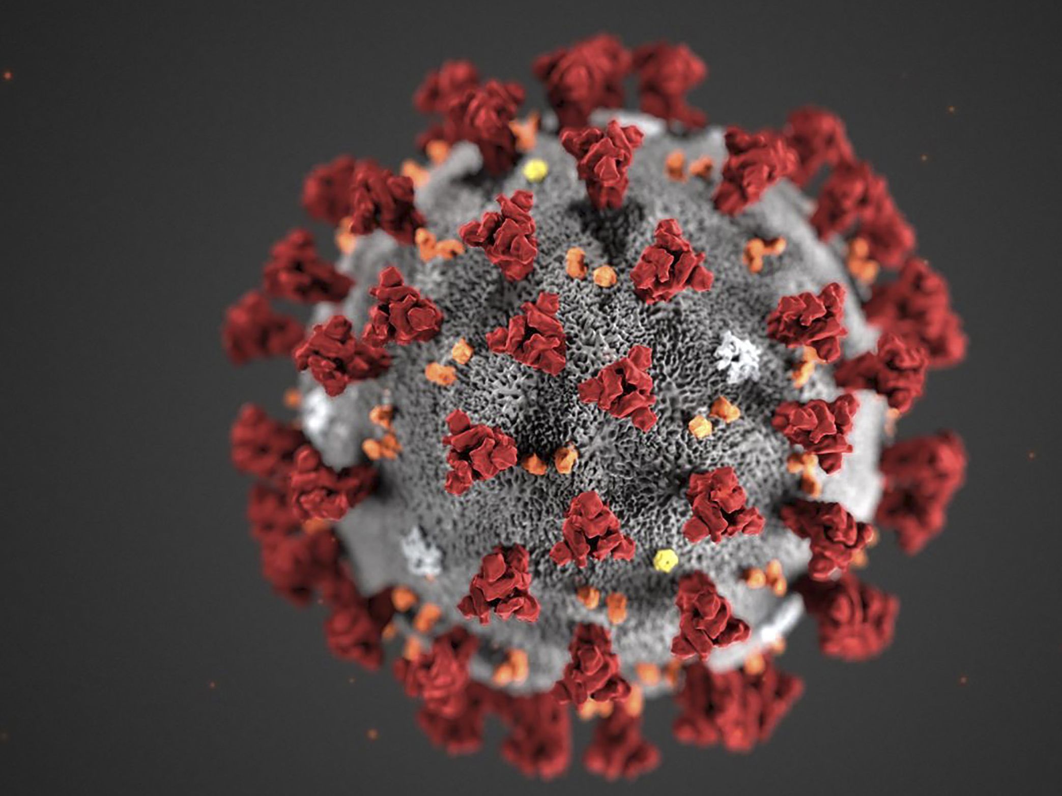 Die Mehrheit der Österreicher fühlt sich gut über das Coronavirus informiert.