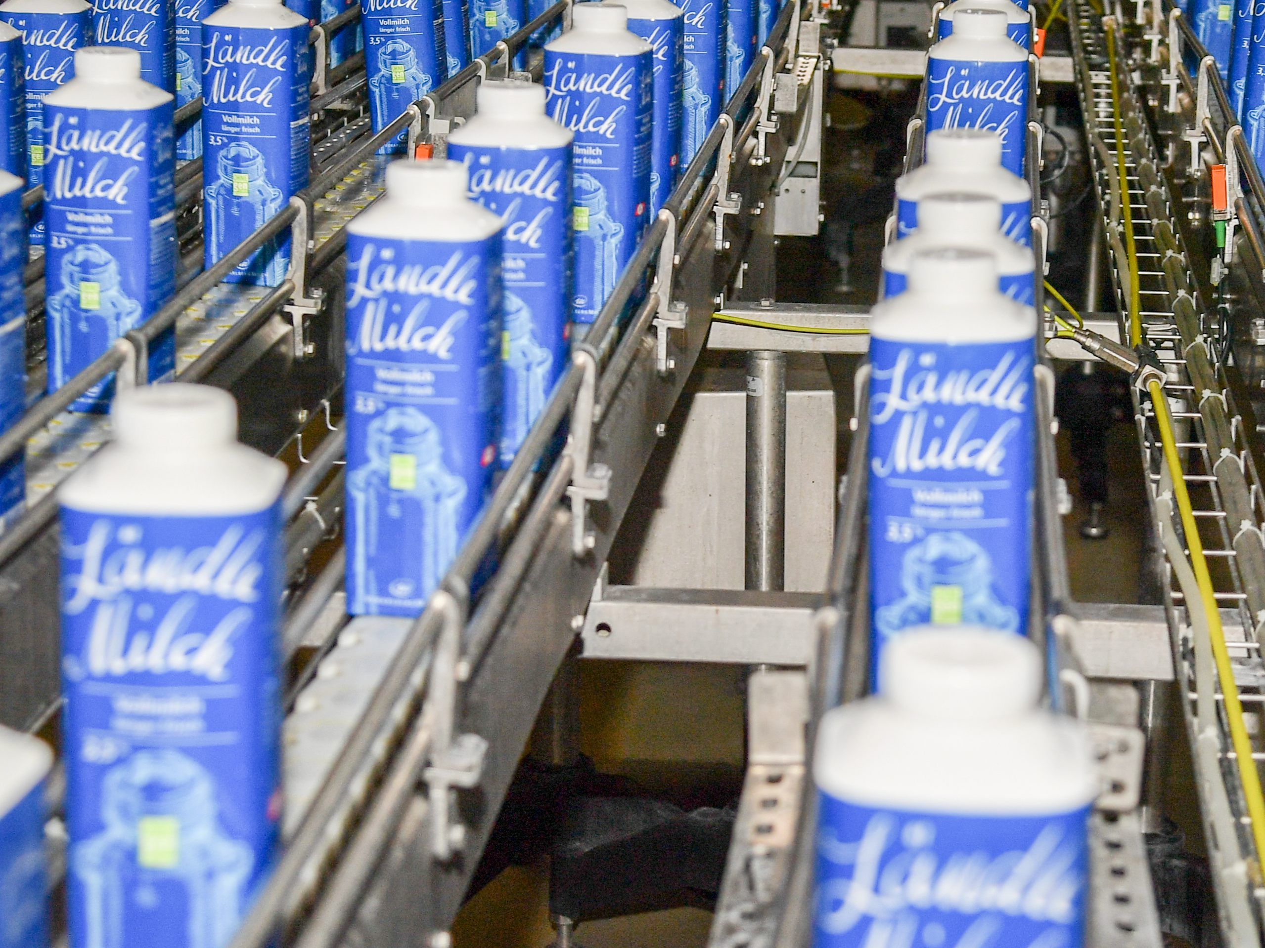 Vorarlberg Milch: "Sind in einer schwierigen Situation"