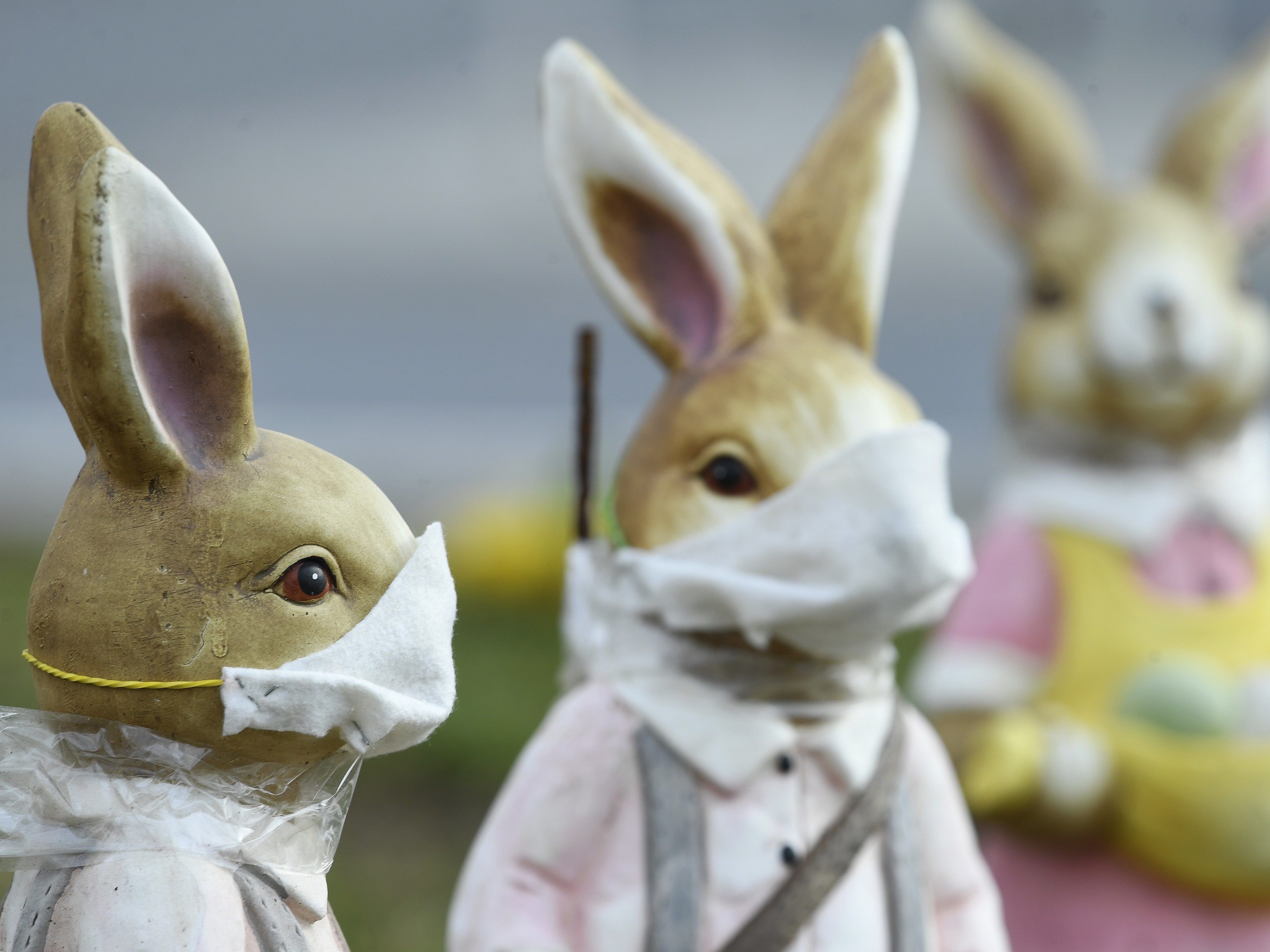 Osterhasen mit Mundschutz. Was vor einigen Wochen noch völlig verrückt ausgesehen hätte, macht jetzt Sinn.