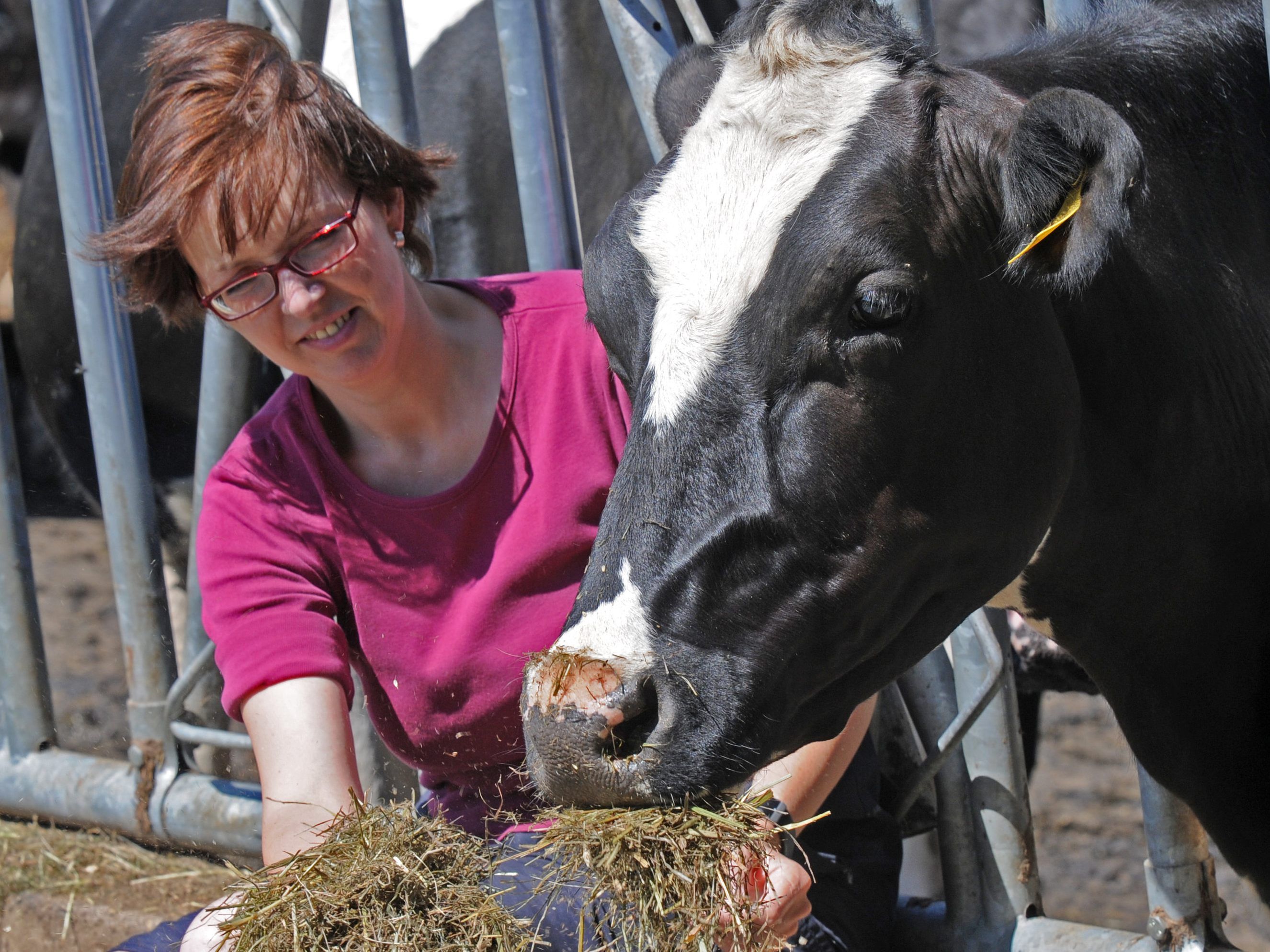 Landwirtin sein dagegen sehr...