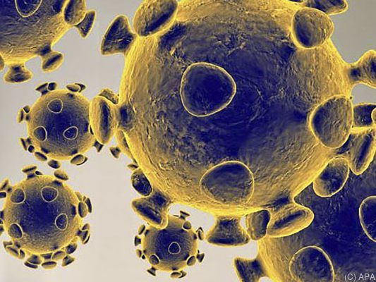Suche nach Impfstoff gegen Coronavirus läuft auf Hochtouren