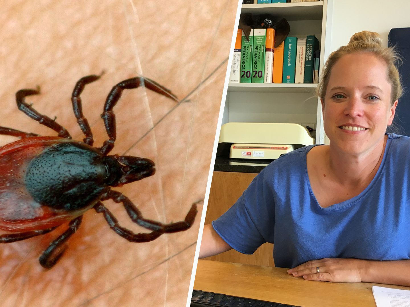 Wie aktiv Zecken im Ländle derzeit sind und wie sinnvoll eine FSME-Impfung ist, erklärt Impfreferentin Dr. Rümmele-Waibel.