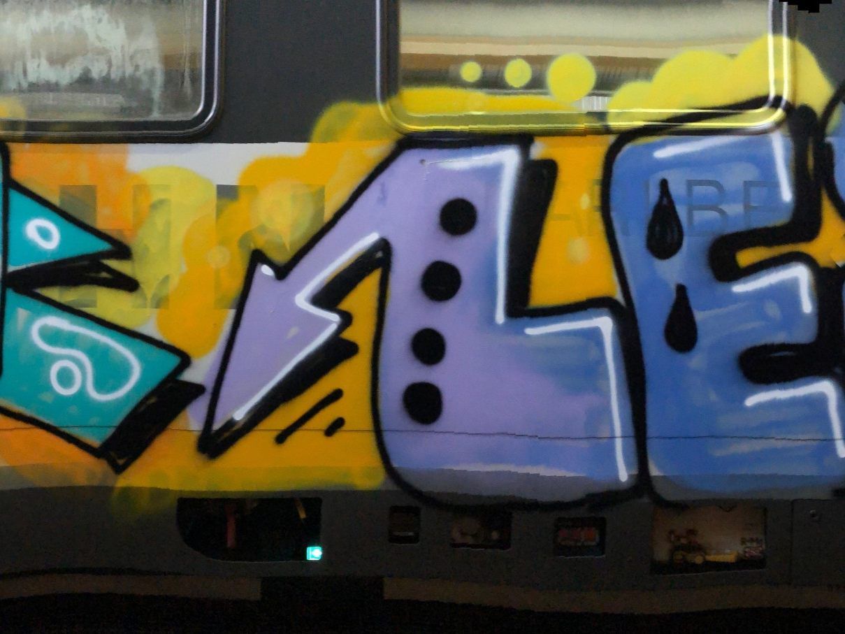 So schaut der Triebwagen jetzt aus