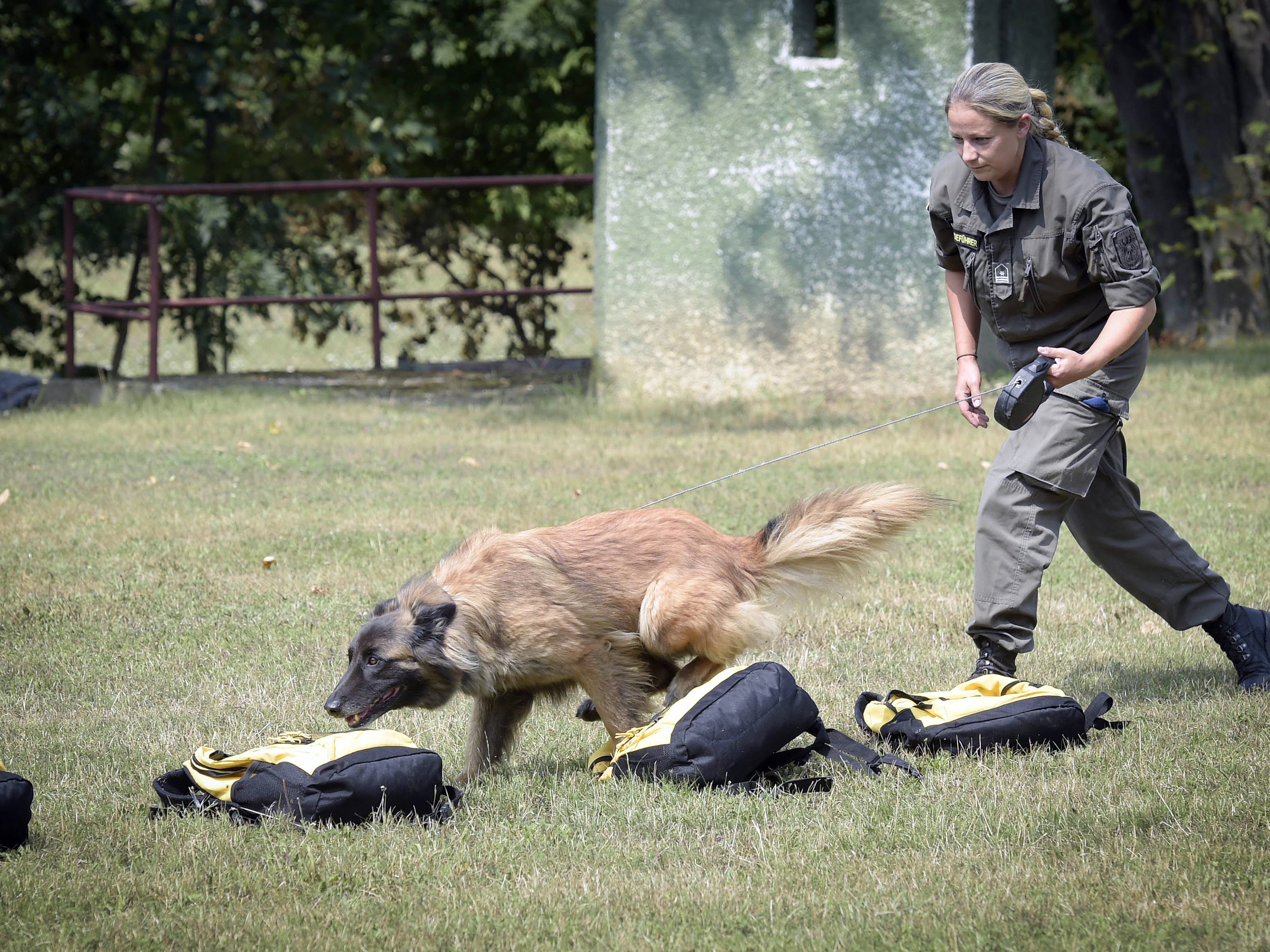 Das Bundesheer bildet derzeit einen "Corona-Schnüffler" aus.