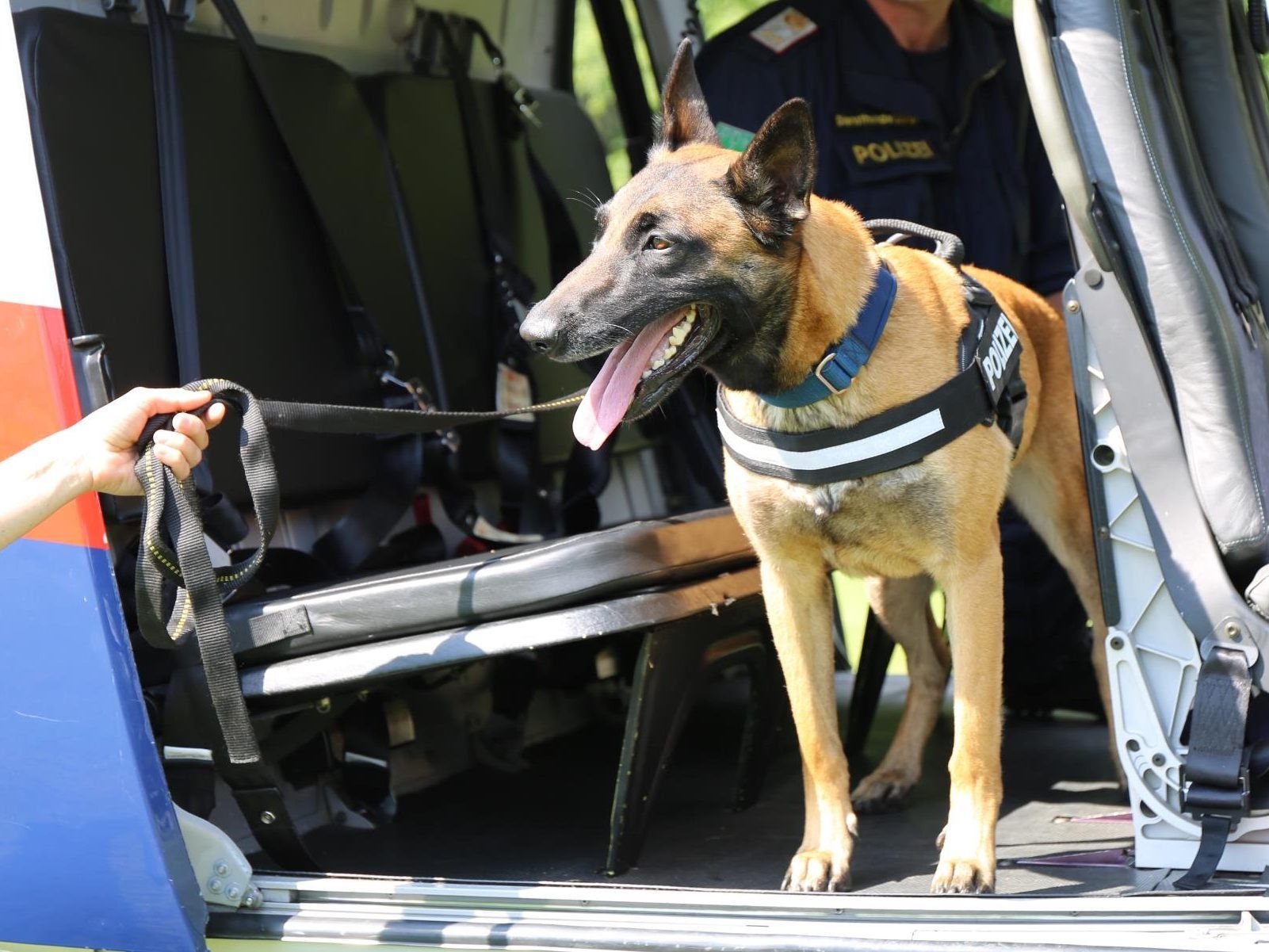 Personensuchhund Safira fand die 91-Jährige in einem Wohnblock.