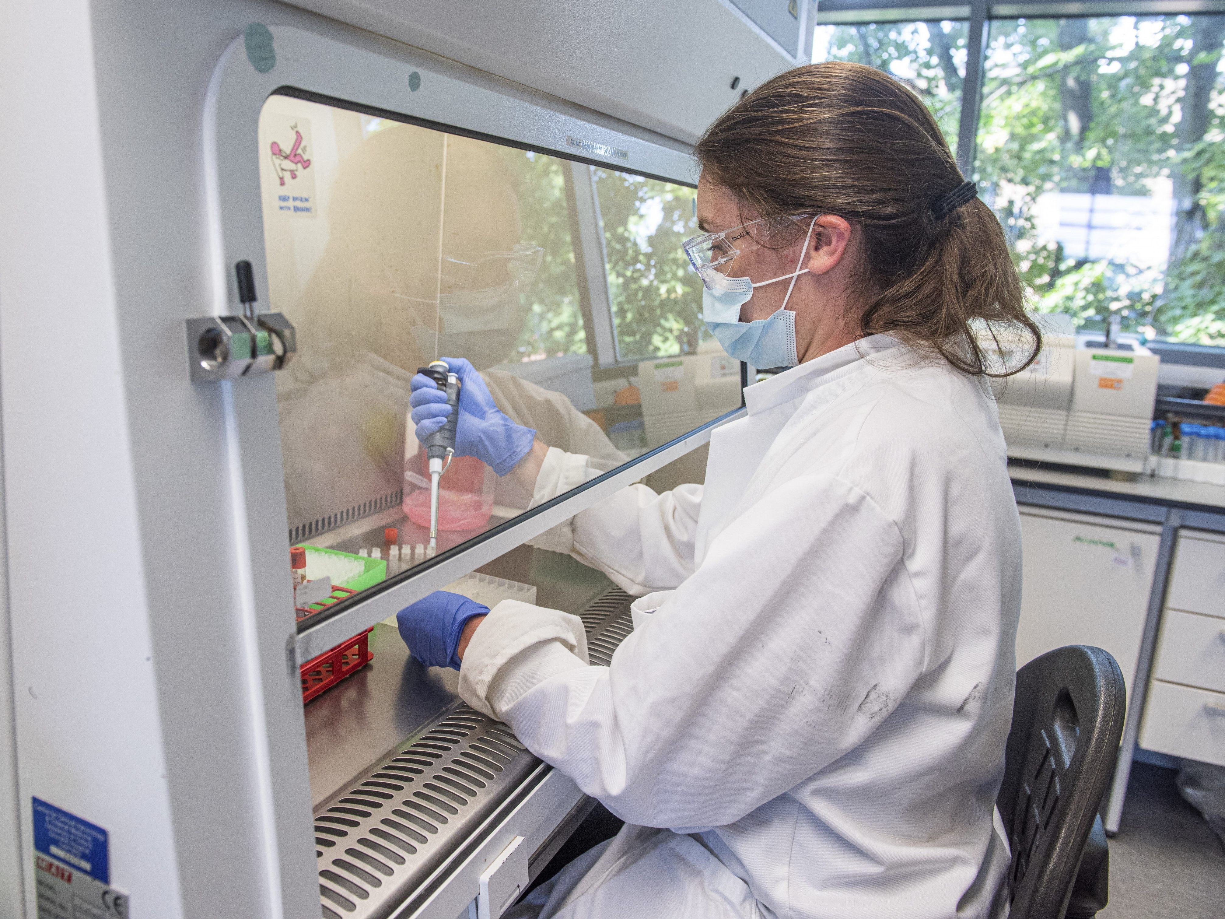 Durchbruch bei der Suche nach einem Impfstoff gegen das Coronavirus.