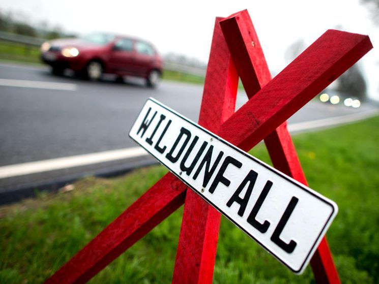 Nach einem Wildunfall muss die Exekutive verständigt werden