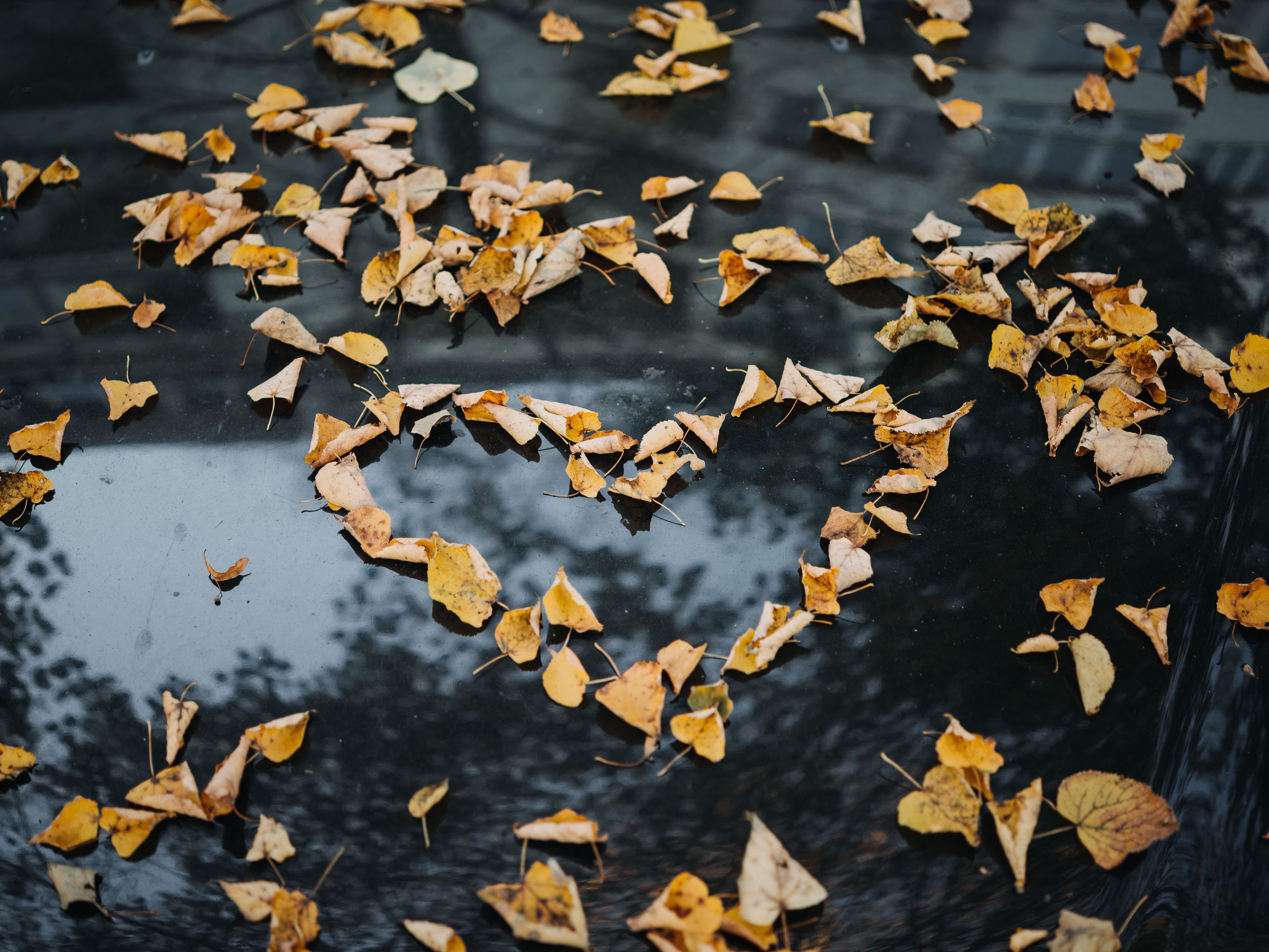 Im Herbst kommt das Liebesleben in Schwung.