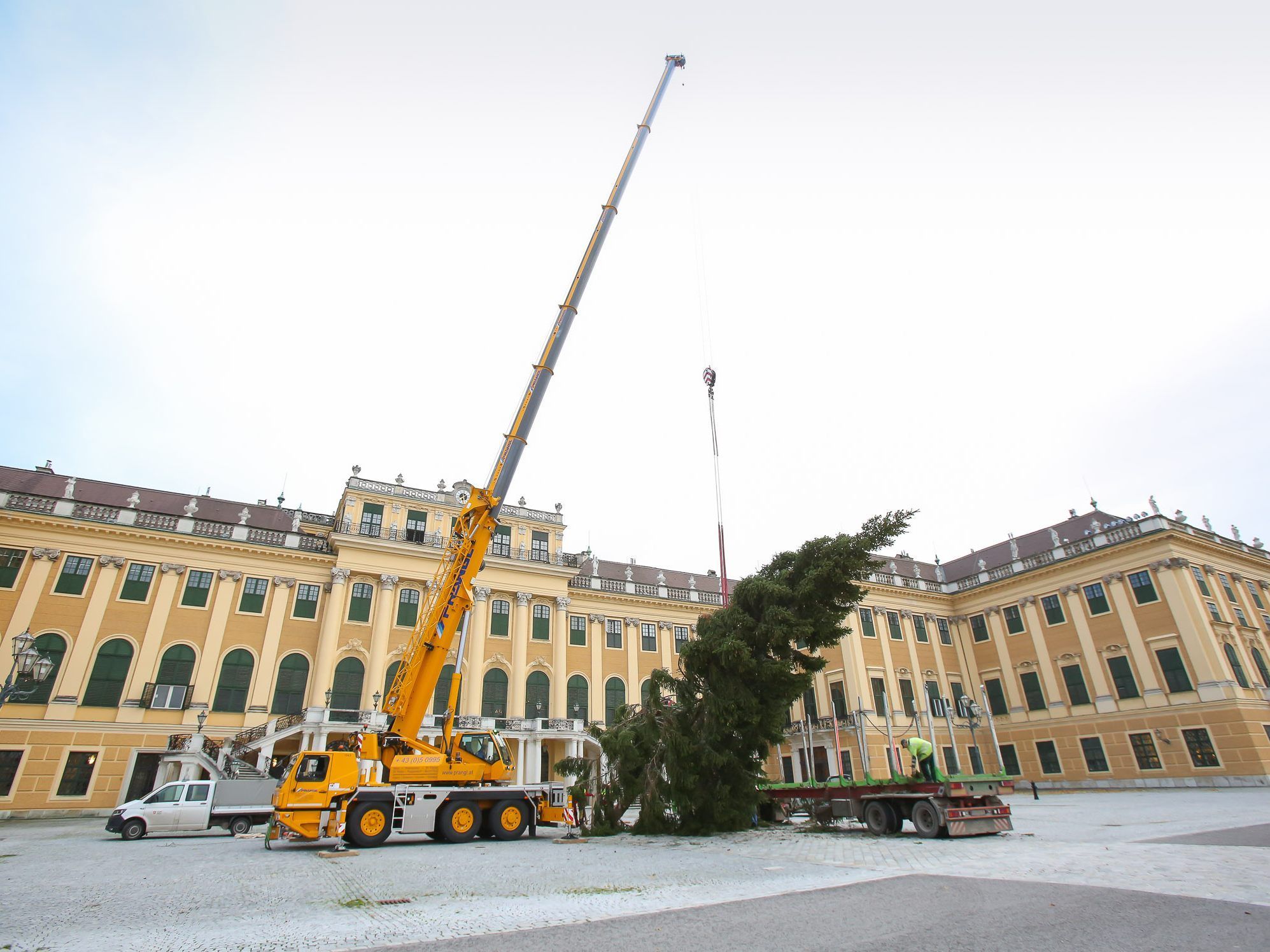 Beim Aufstellen des Baumes vor dem Schloss Schönbrunn