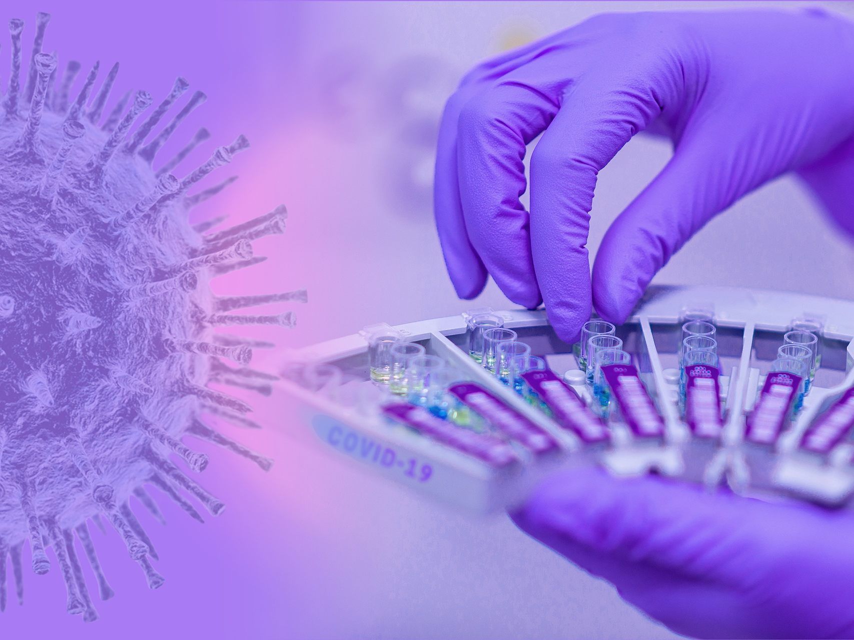 Bei zwölf Menschen wurde bereits eine mutierte Version des Coronavirus festgestellt.