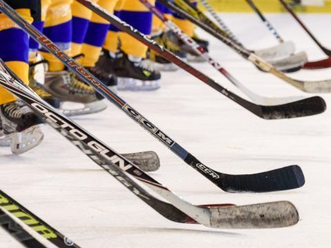 Die ICE Eishockey-Liga wird ab Sonntag fortgesetzt.