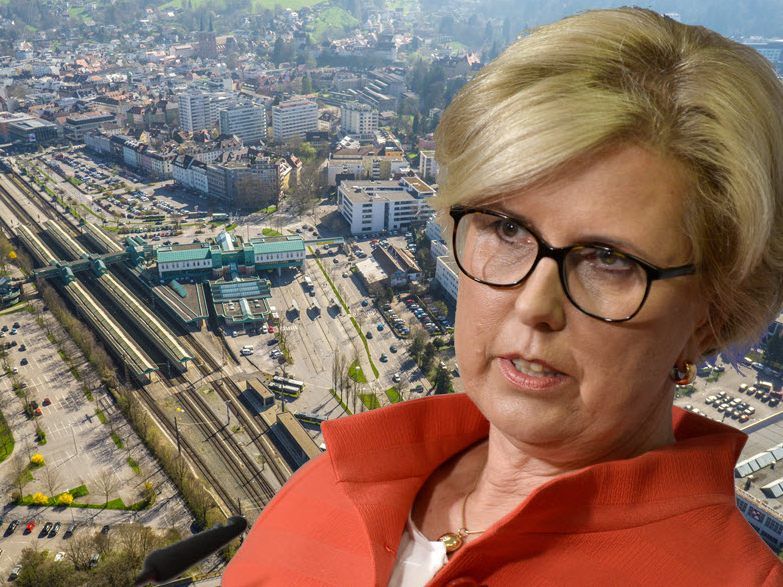 Unter die Lupe genommen wurden die Planungen für "Seestadt" und "Seequartier"