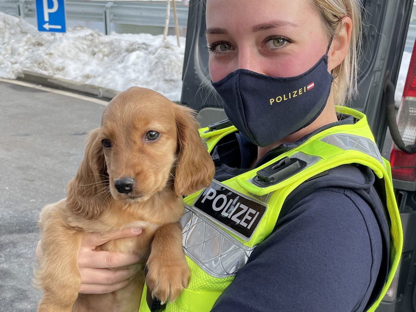 Der "Cocker Spaniel"-Welpe war bei der Polizei bestens aufgehoben.