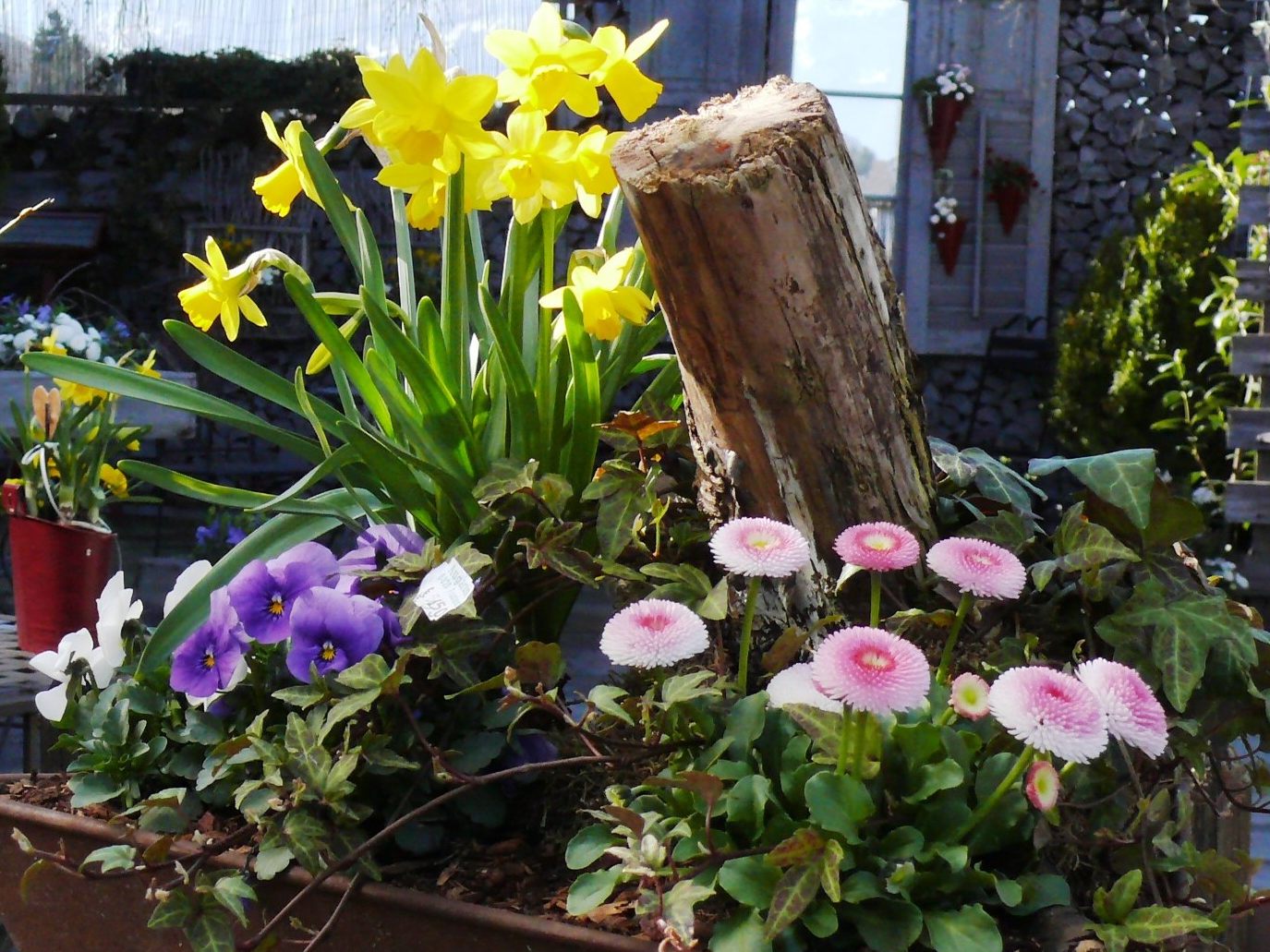 Frühling in ein Osternest gepackt.