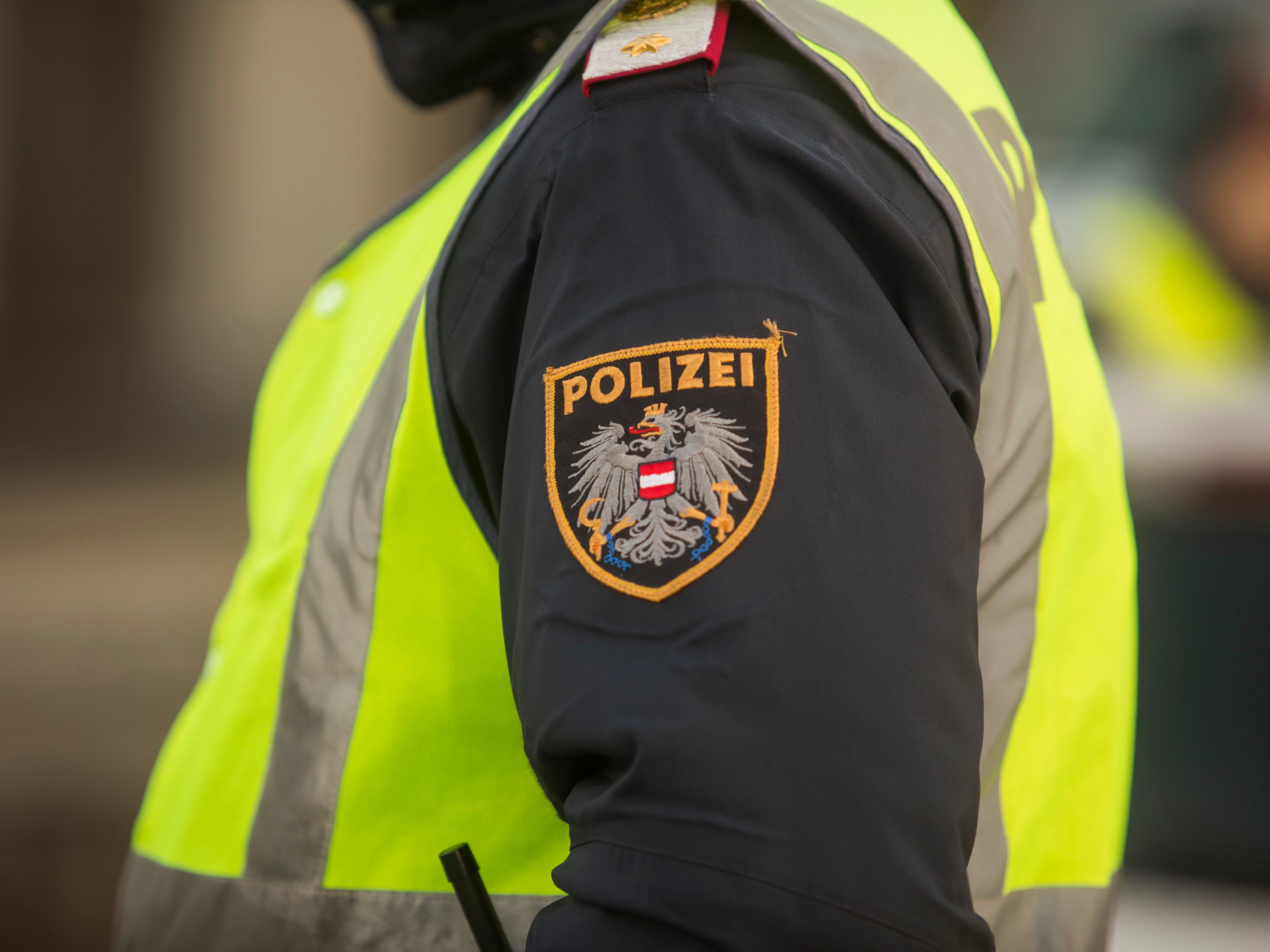Die Polizei konnte drei Täter ausforschen.
