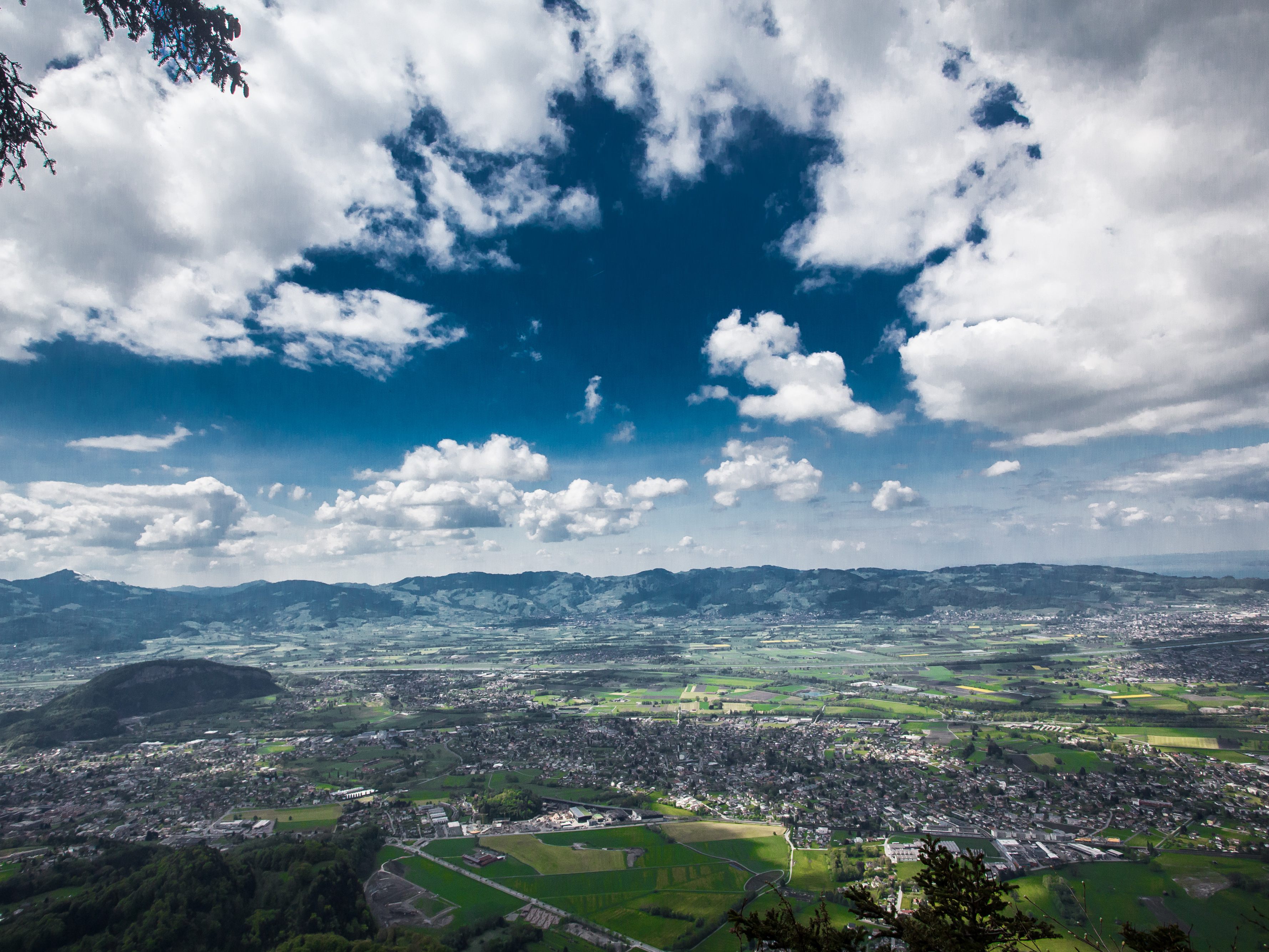 Das Rheintal ist bei Neuankömmlingen als Wohnregion besonders beliebt.