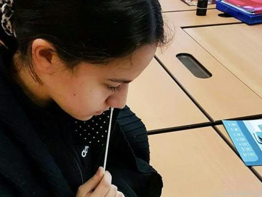 Nicht alle Schüler wollten den "Nasenbohrertest" durchführen.