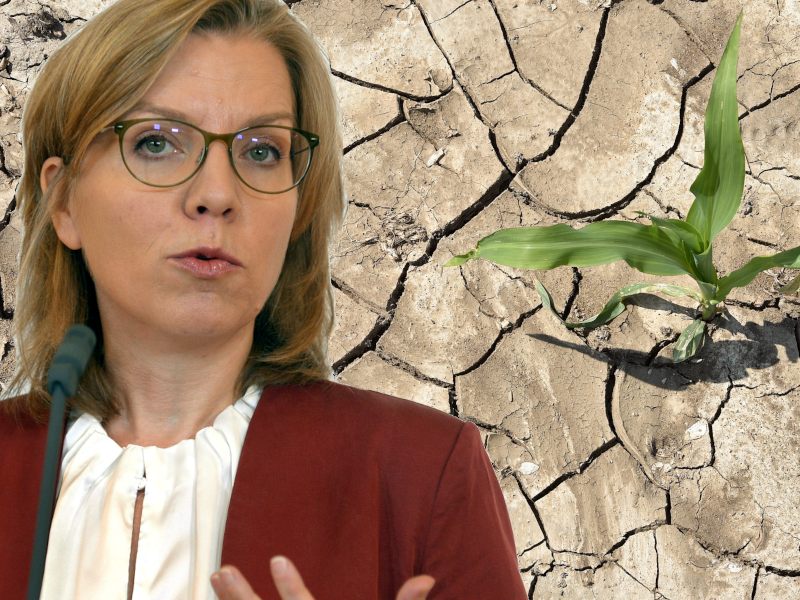 Schon jetzt um zwei Grad wärmer - Enormer Anstieg von Hitzetagen - Dürre und weniger Schneefall