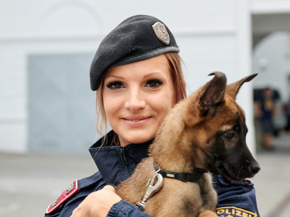 Elf Welpen traten ihren Polizeidienst an.