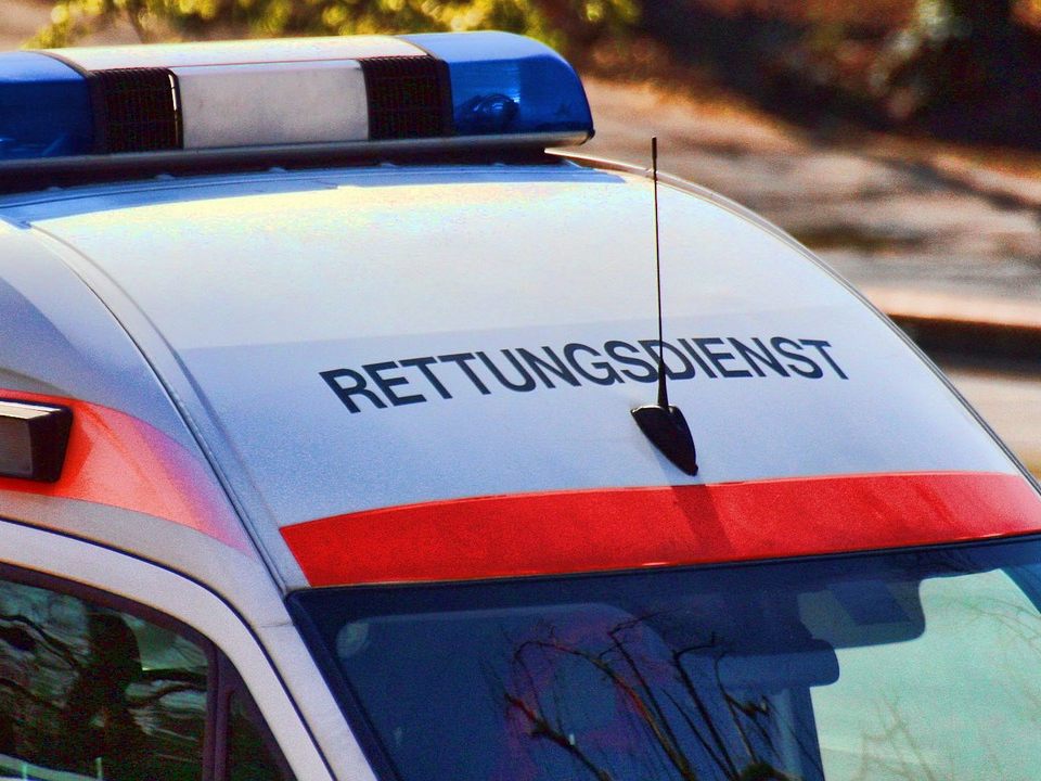 Der Lenker, sein Beifahrer und zwei der Tiere wurden bei dem Unfall verletzt.