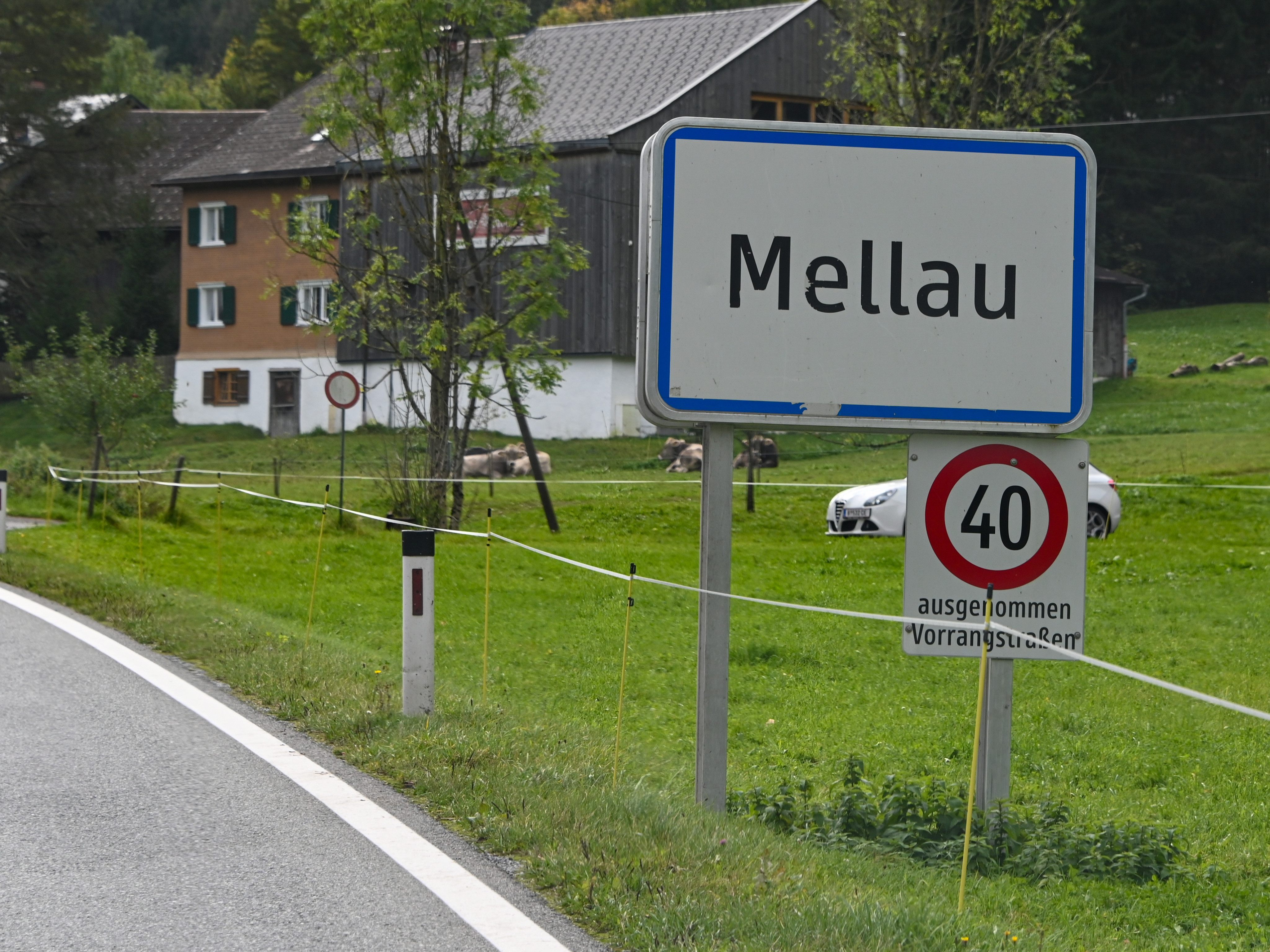 Der 44-jährige Pkw-Lenker wurde schwer verletzt.